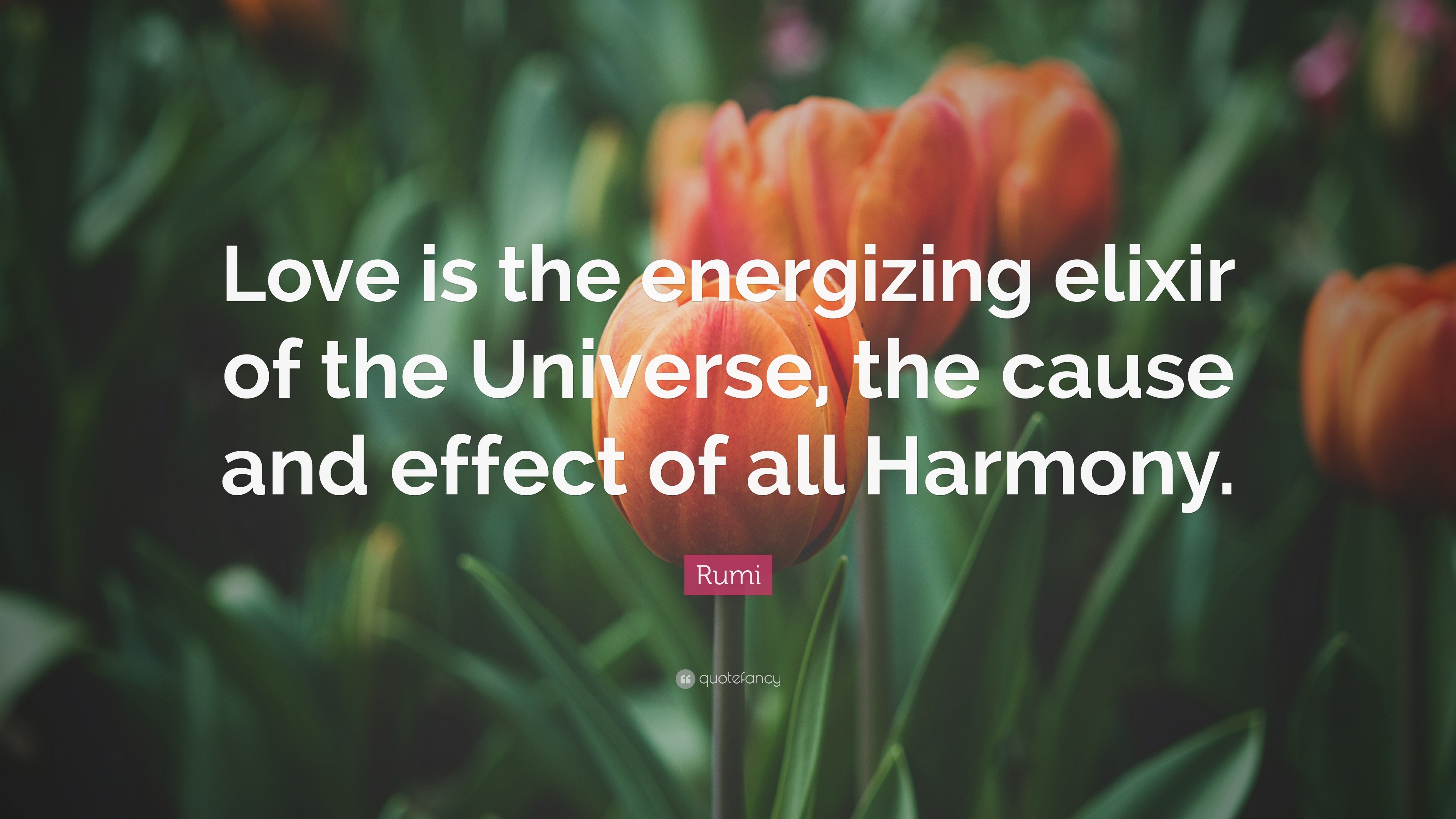 Rumi Quote “Love is the energizing elixir of the Universe, the cause