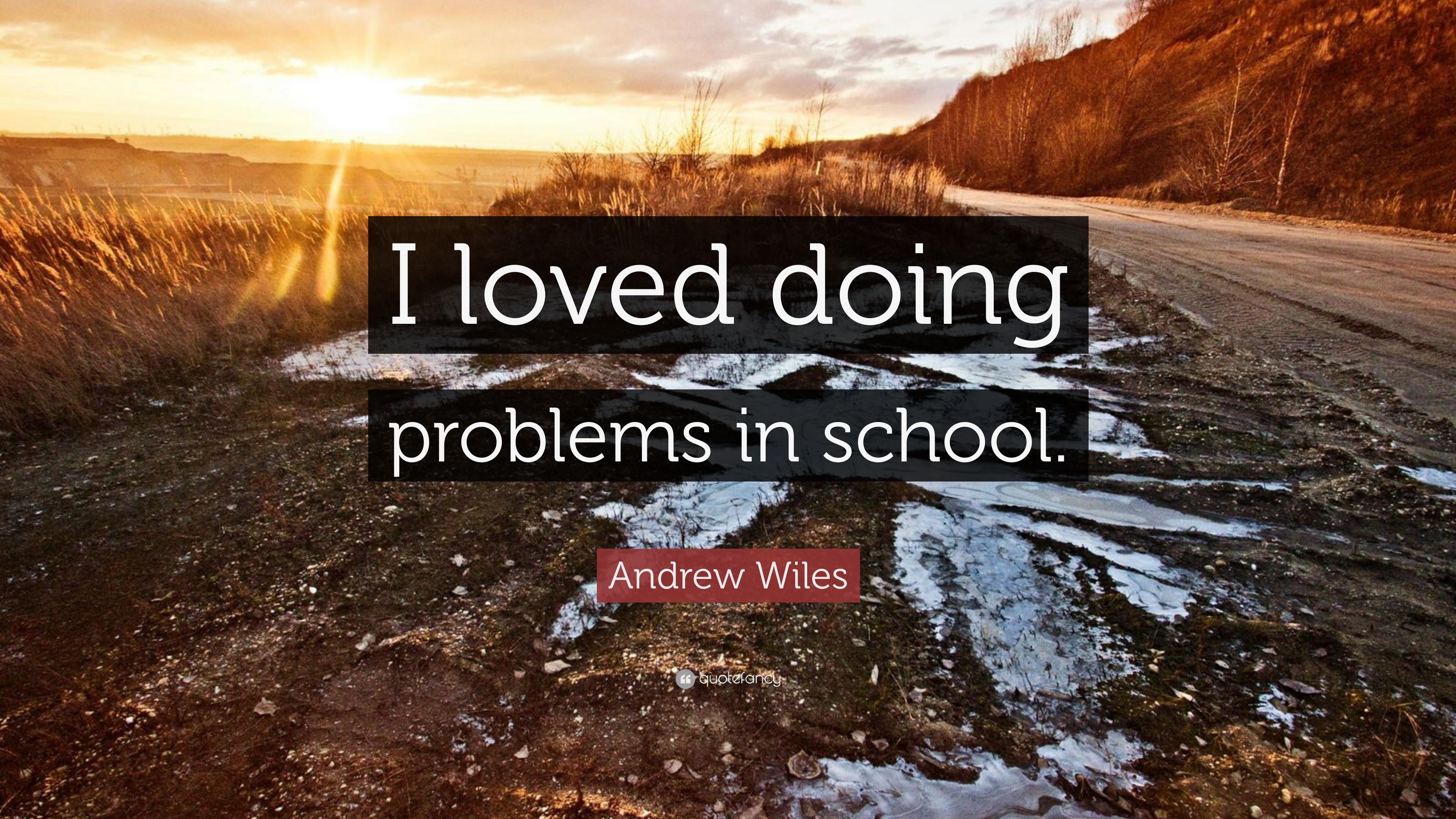 Andrew Wiles Quote “I loved doing problems in school.”