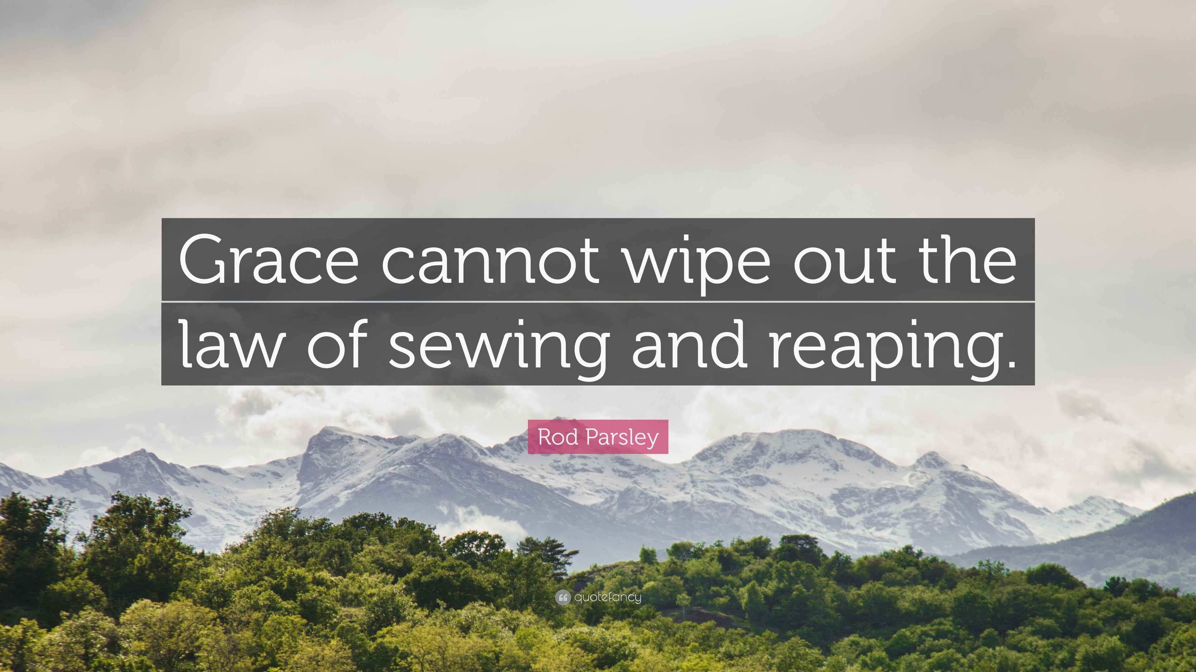 Rod Parsley Quote “Grace cannot wipe out the law of sewing and reaping.”