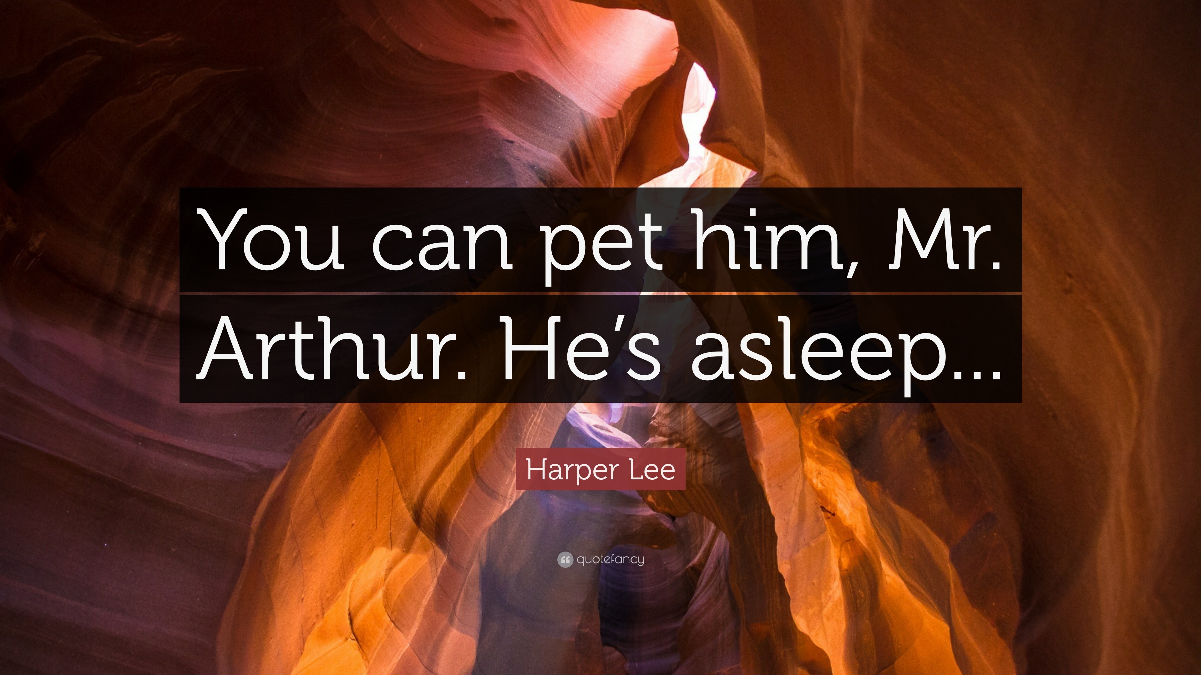 Harper Lee Quote: “You can pet him, Mr. Arthur. He’s asleep...”