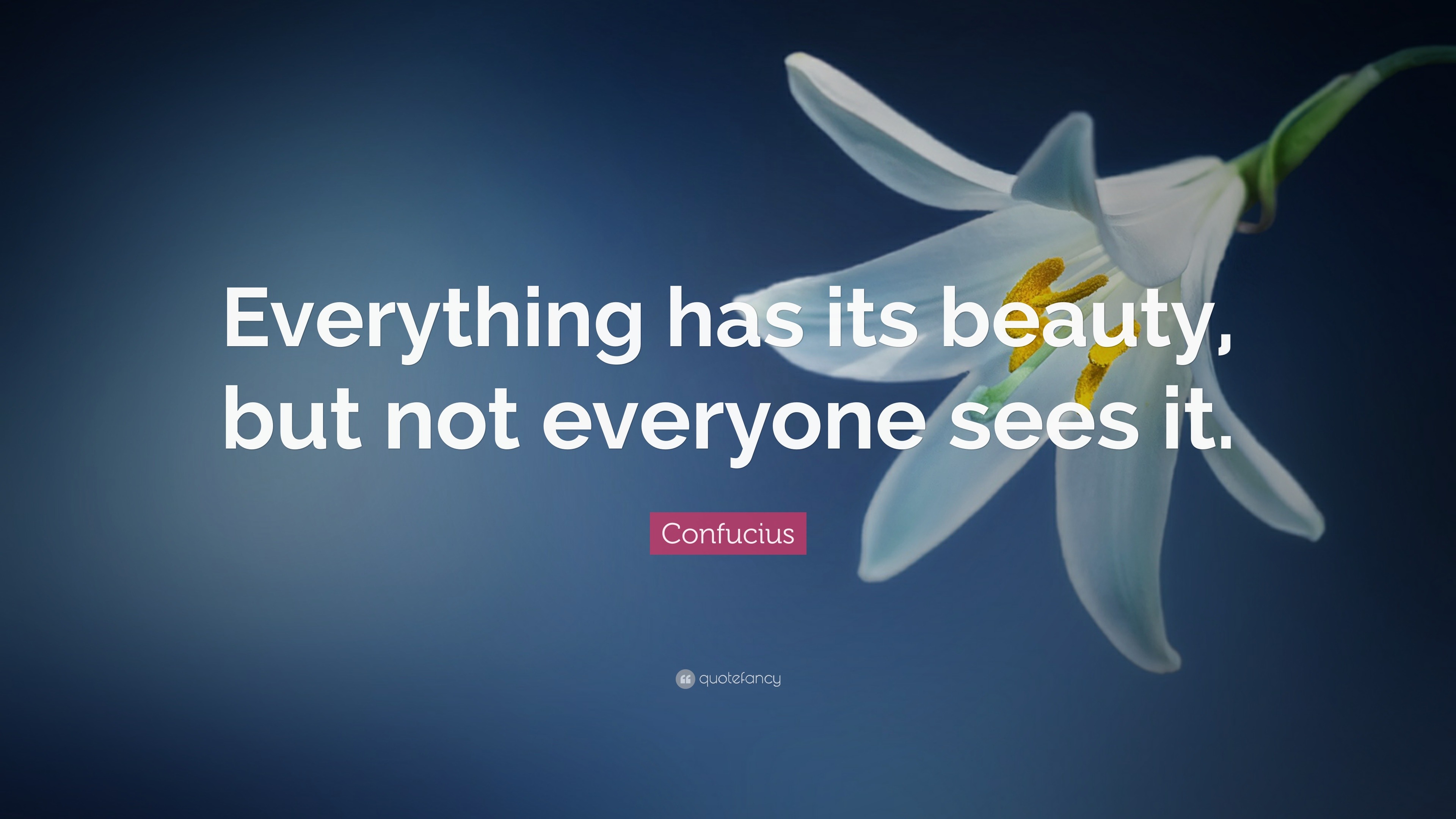 Confucius Quote: “Everything has its beauty, but not everyone sees it.”, image size:3840x2160