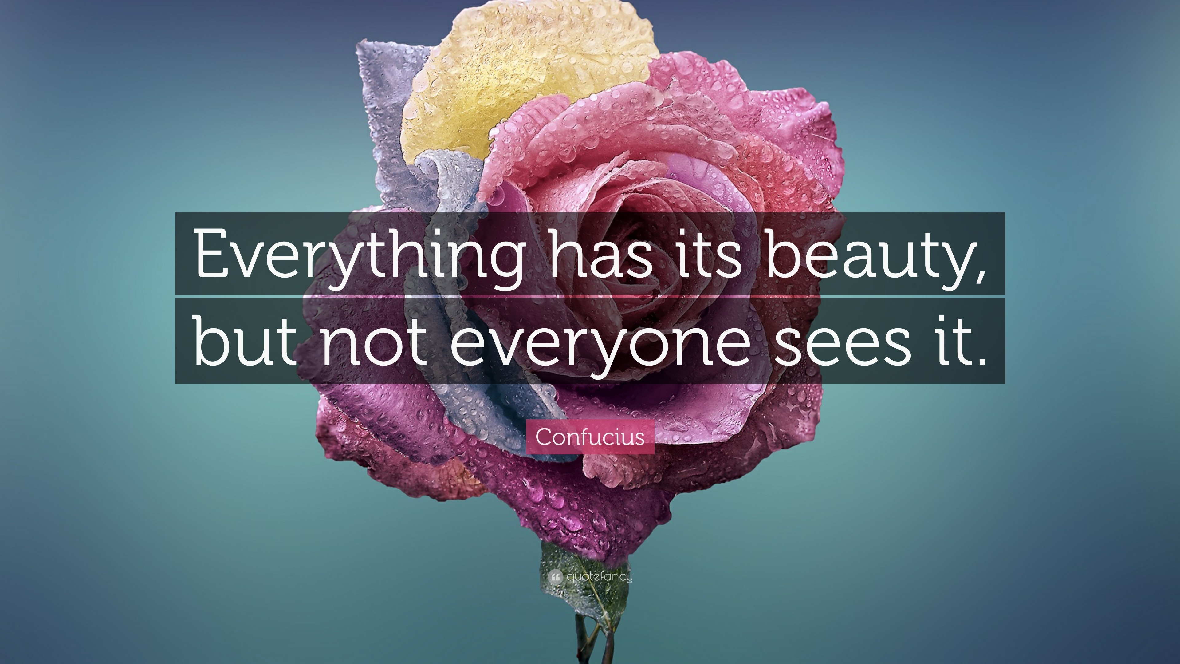 Confucius Quotes Everything Has Beauty