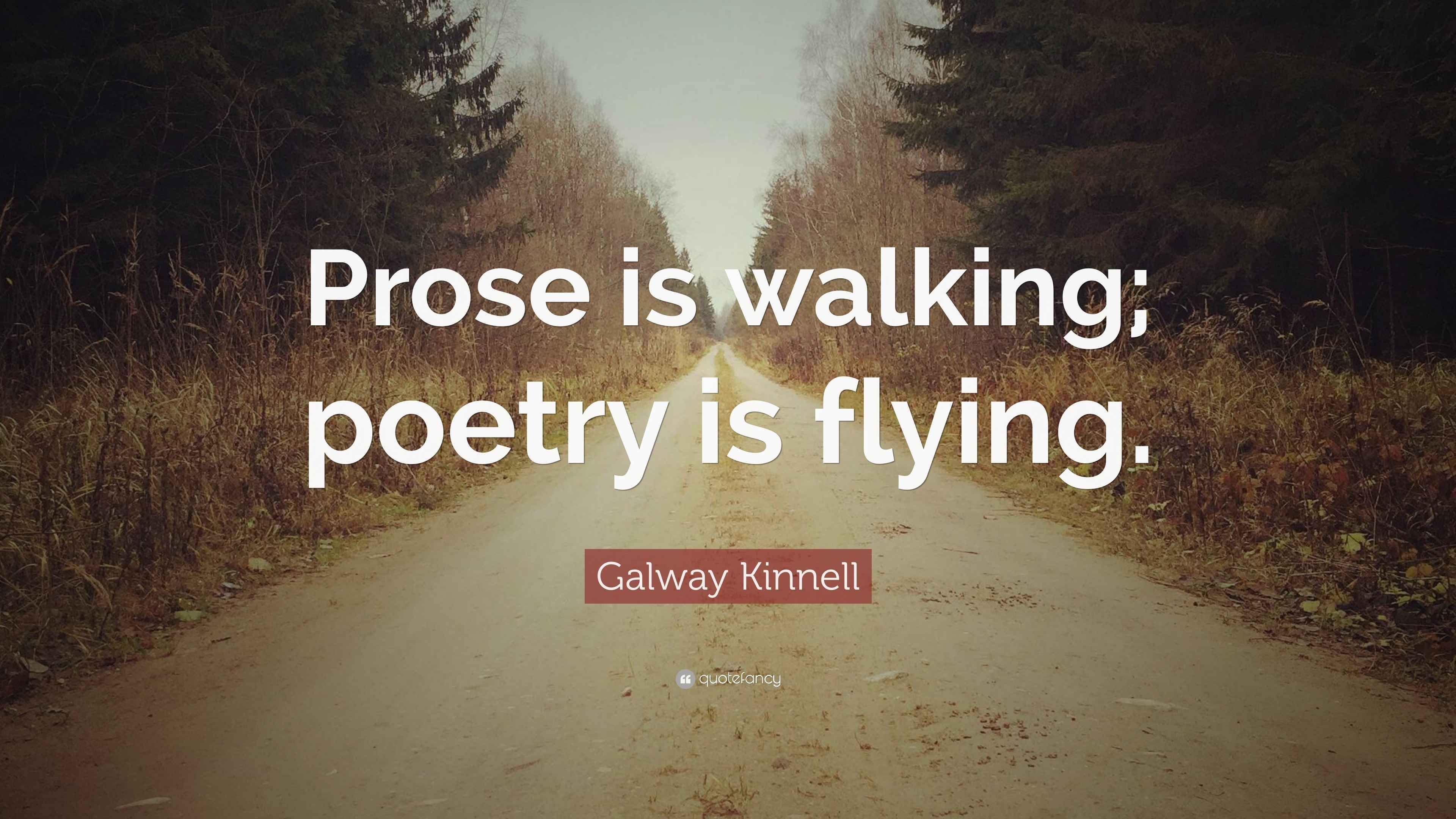Galway Kinnell Quote “Prose is walking; poetry is flying.”
