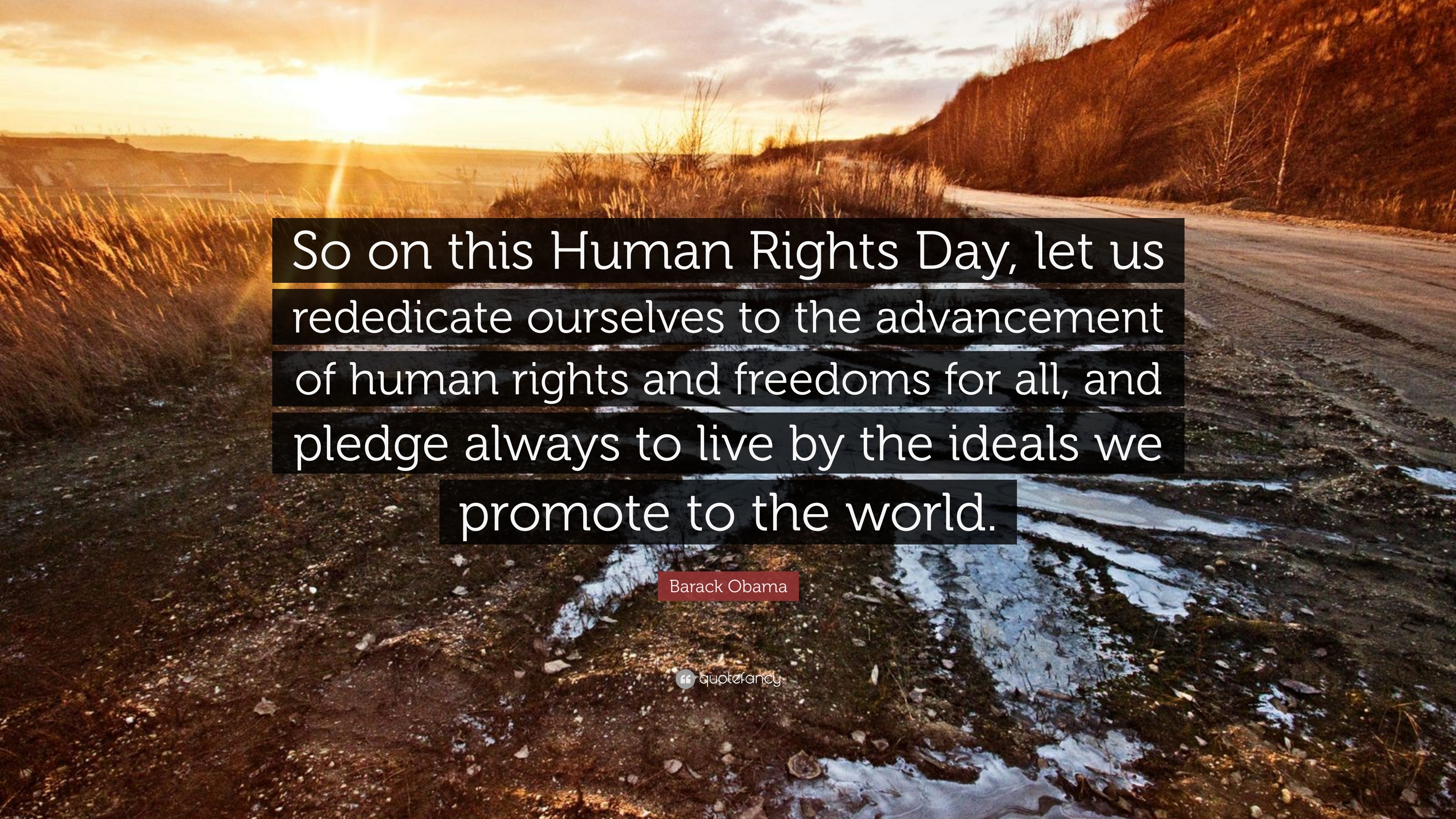 Human Rights Day Quotes