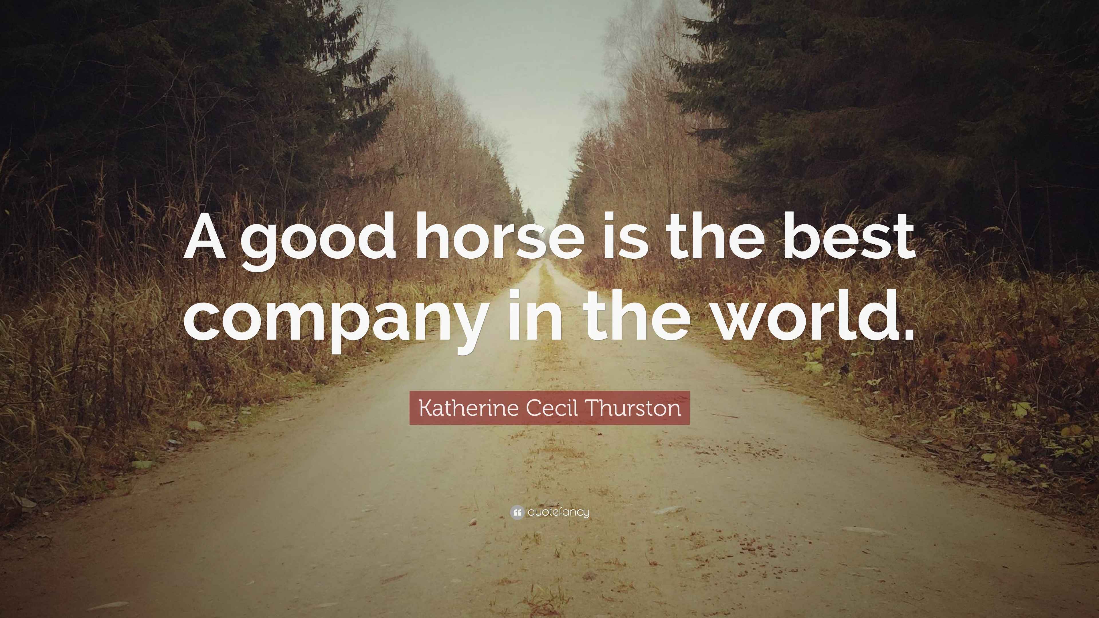 Katherine Cecil Thurston Quote “A good horse is the best company in