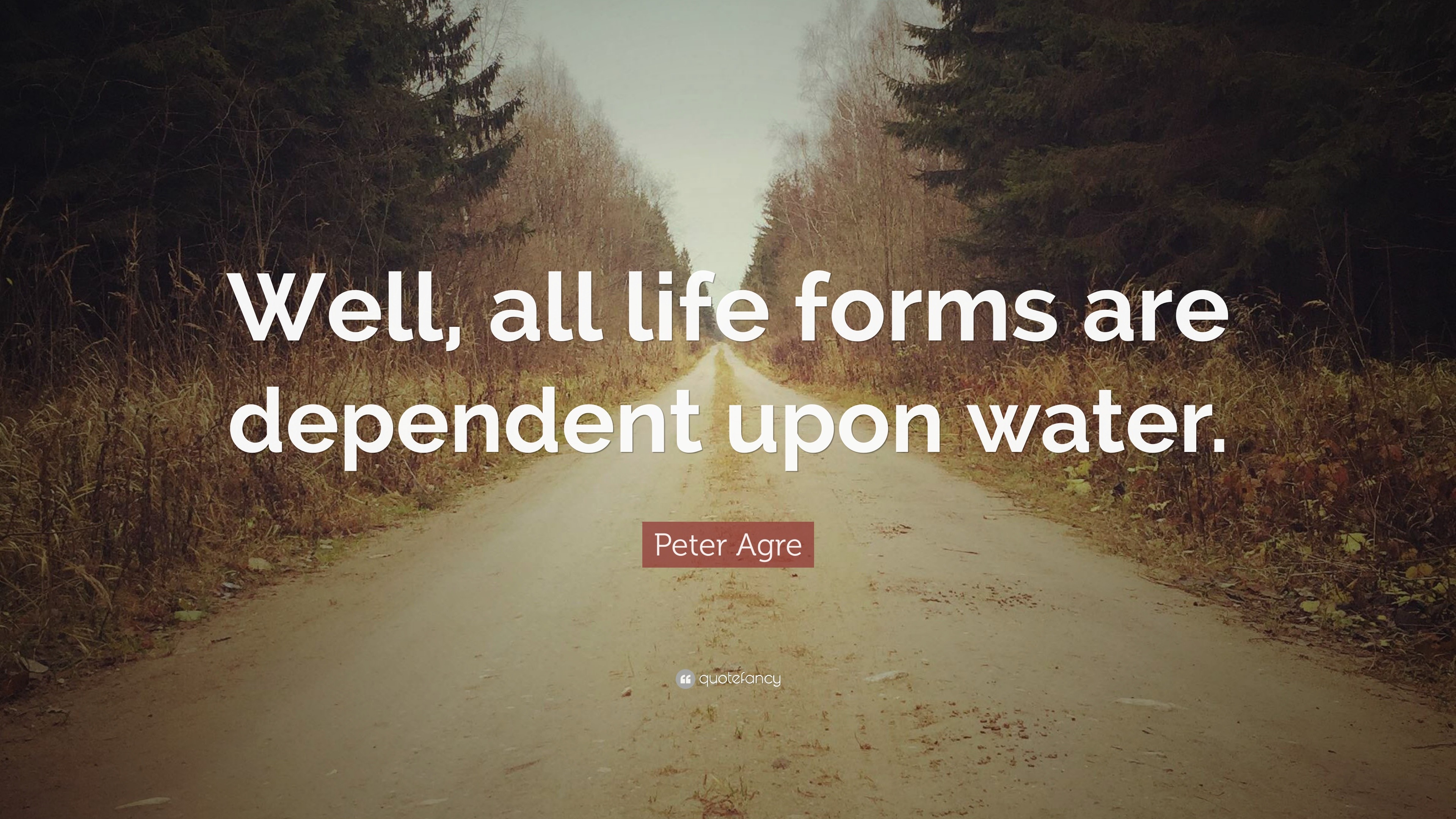 Peter Agre Quote: “Well, all life forms are dependent upon water.”