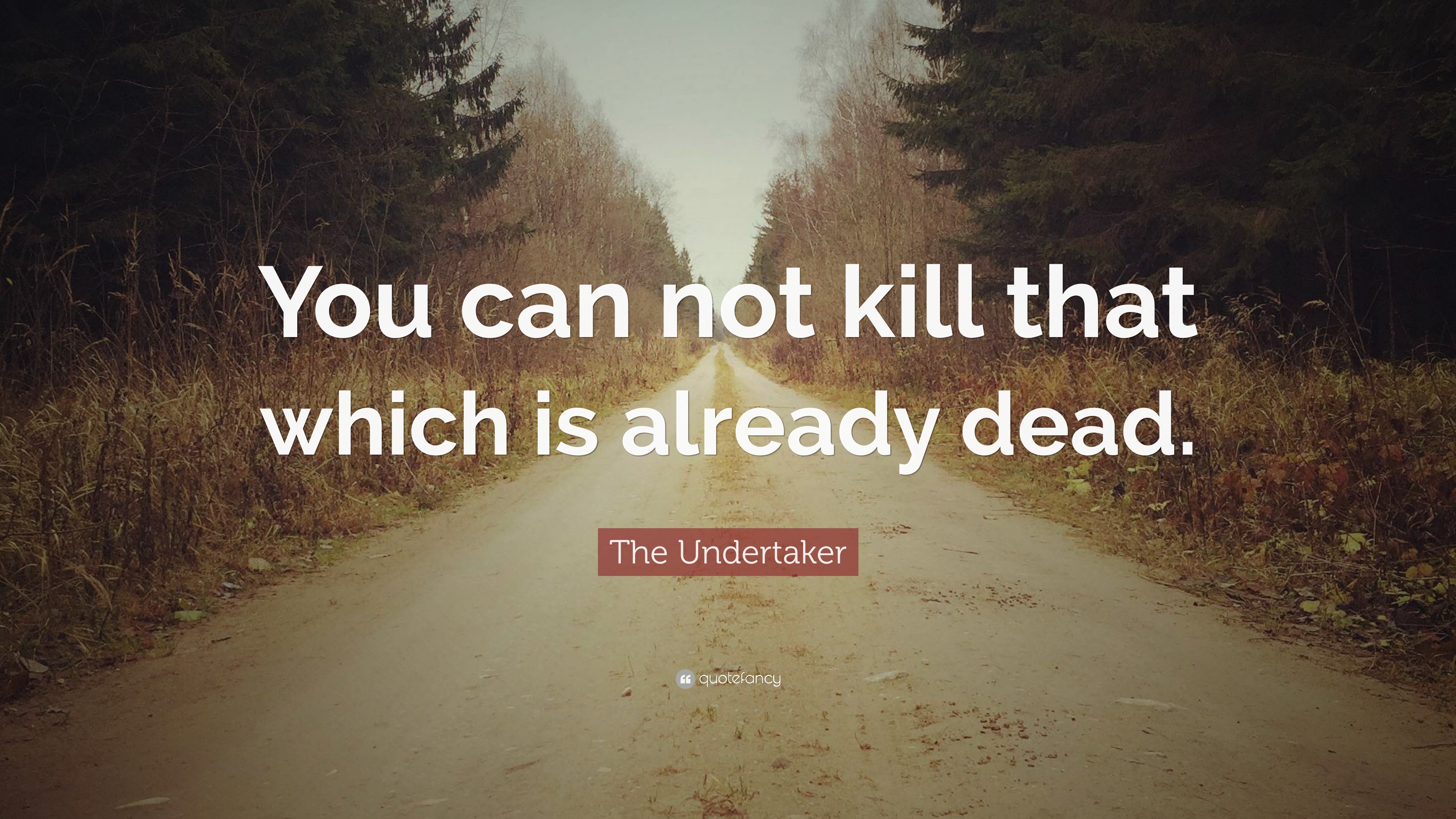 The Undertaker Quotes (14 wallpapers) - Quotefancy