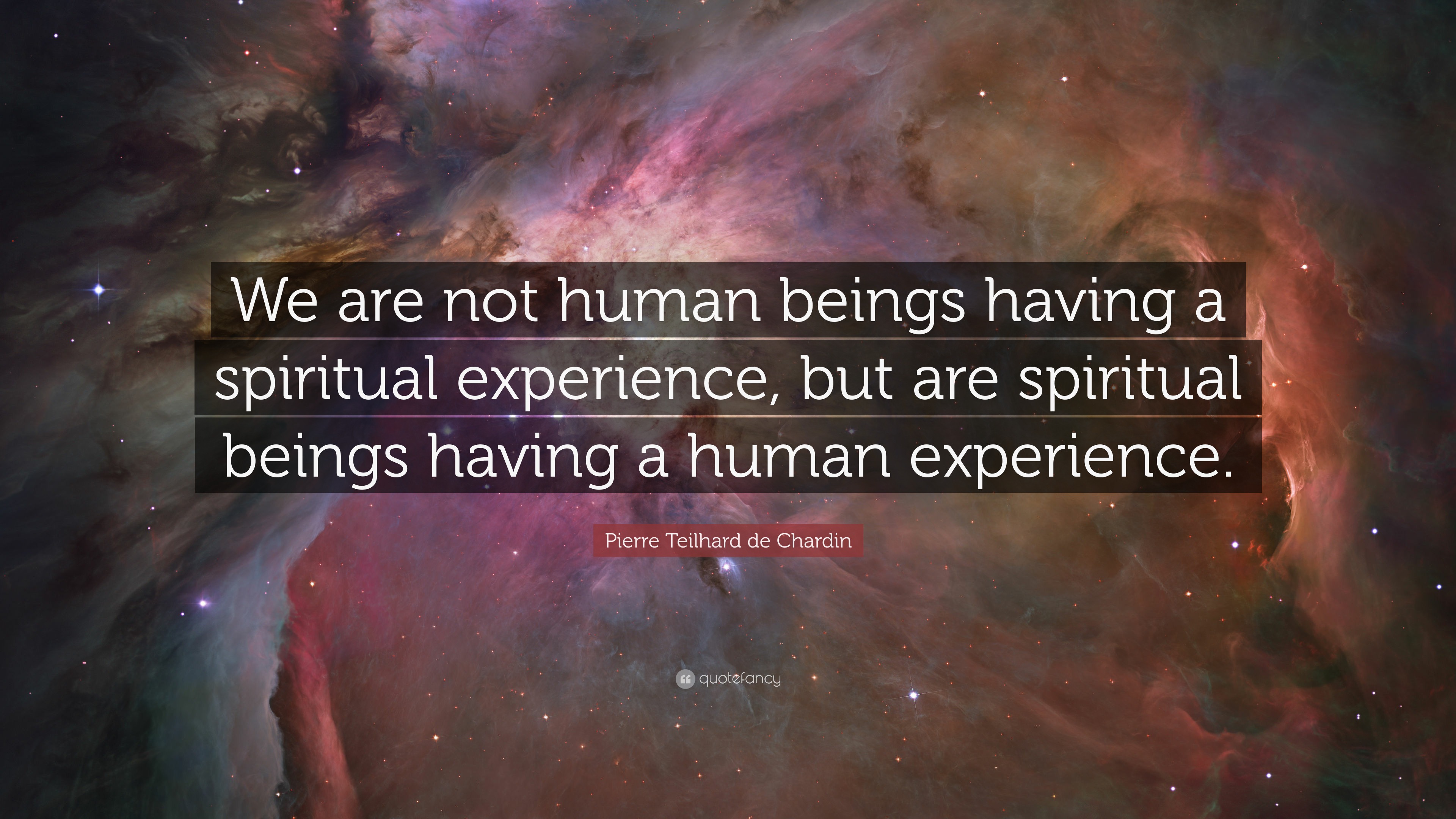 we are not human beings living a spiritual experience