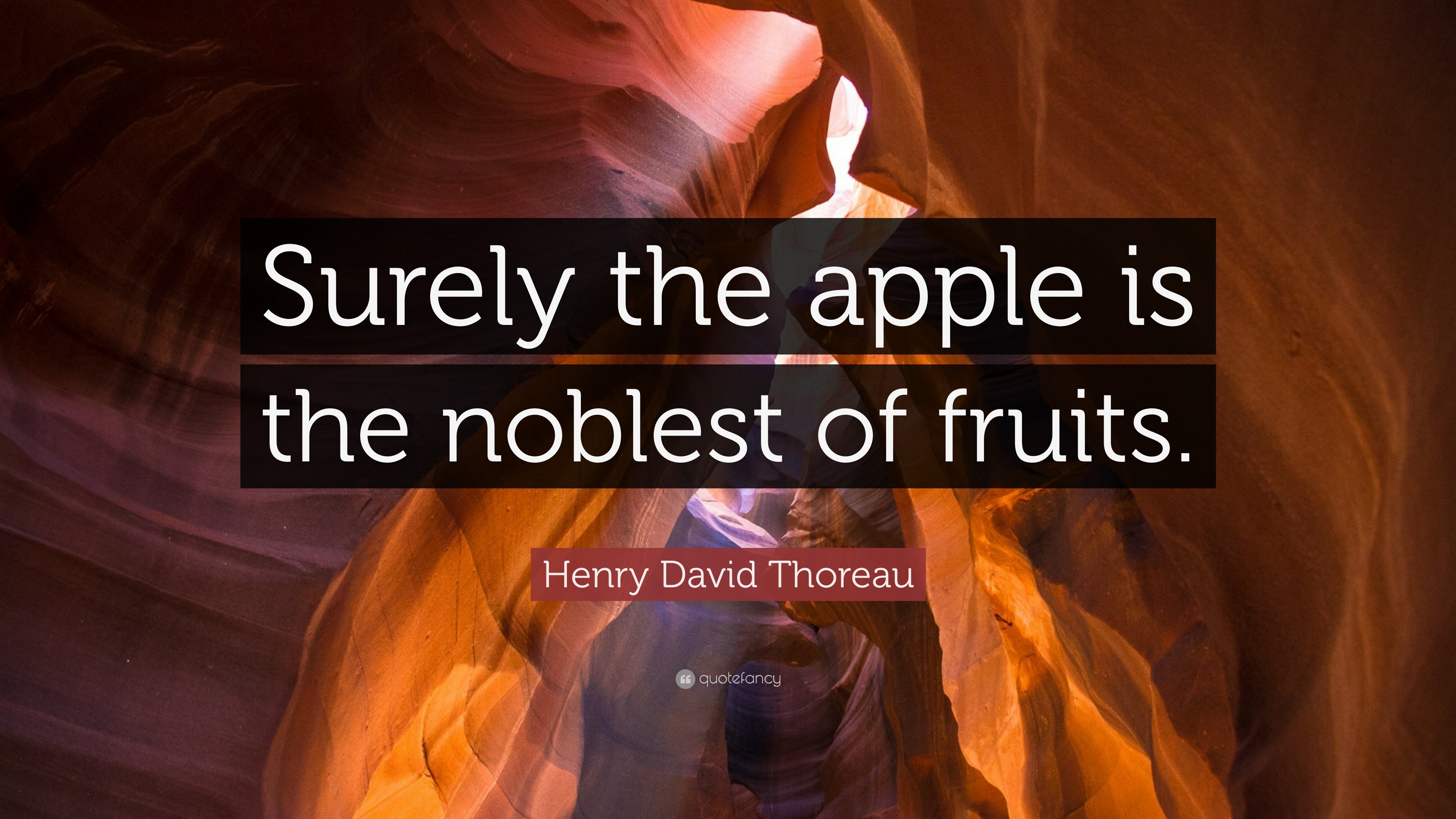 Henry David Thoreau Quote: “Surely the apple is the noblest of fruits.”