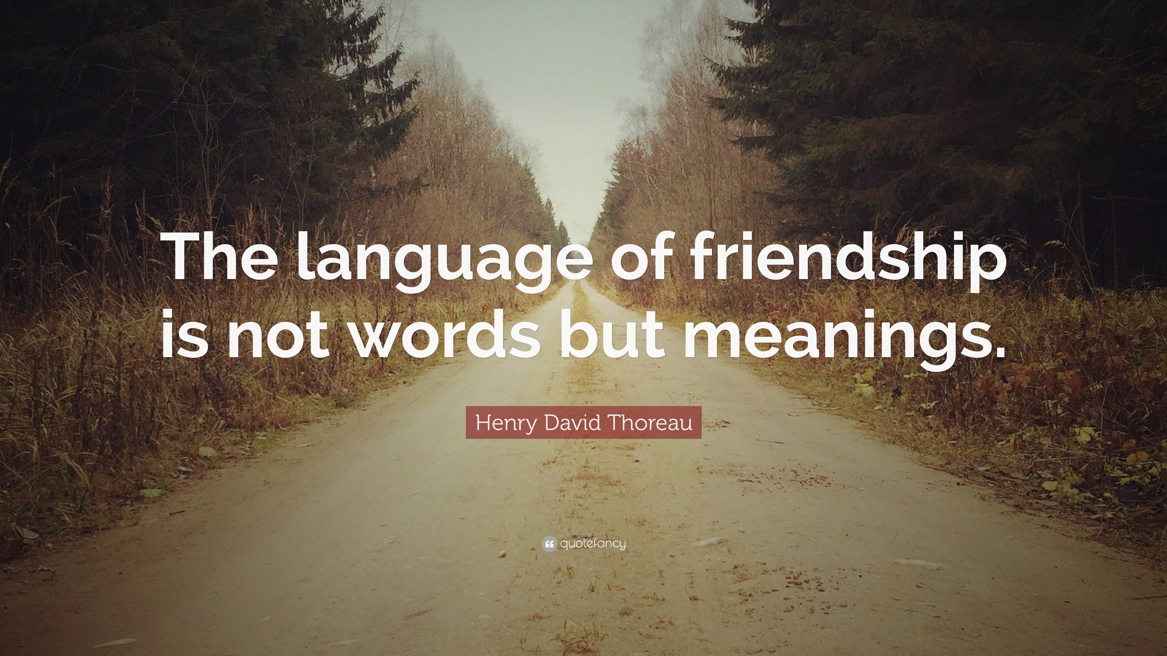 Language of Friendship. Henry David Thoreau NEW Motivational Classroom POSTER 