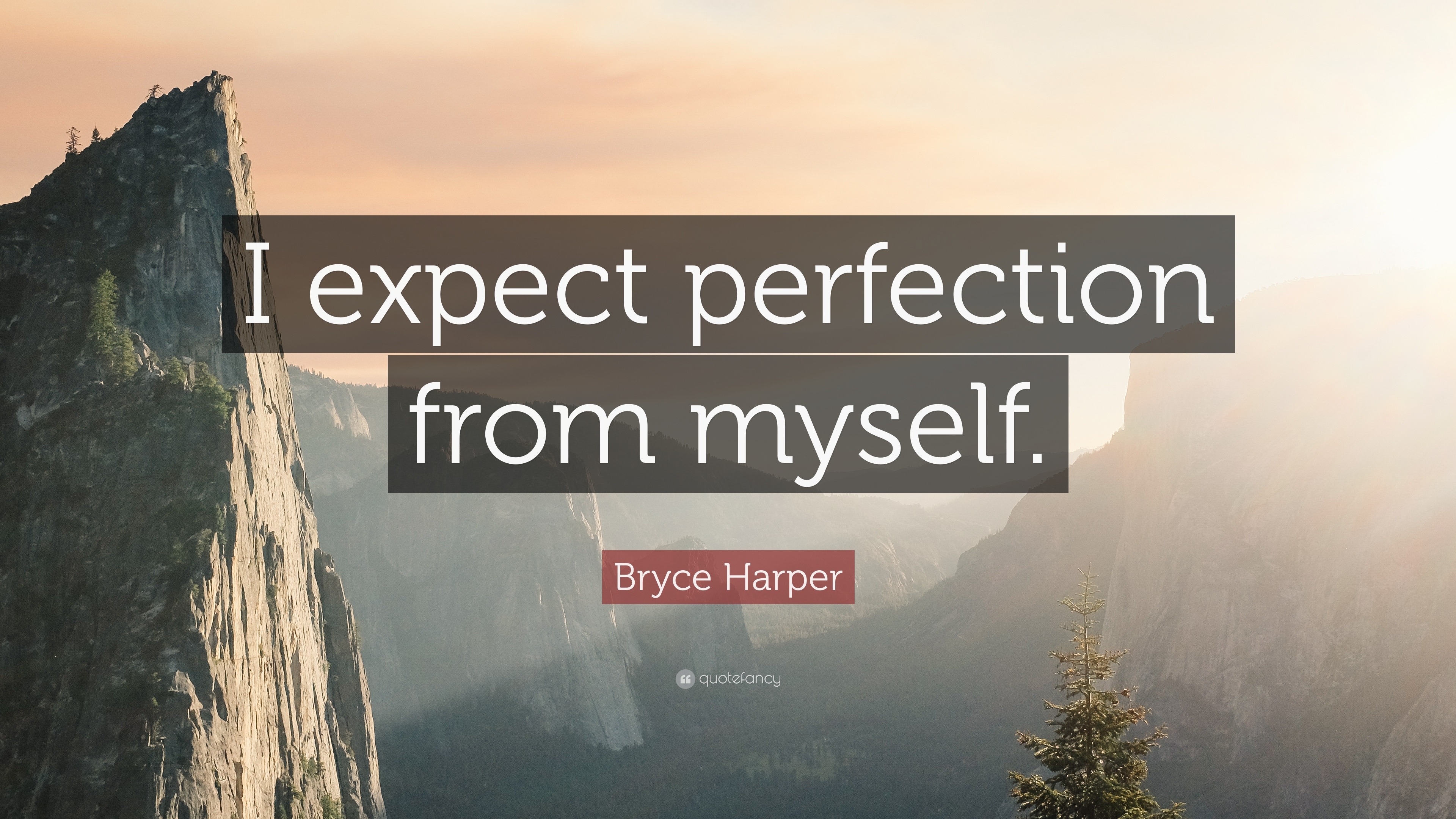 Top 15 Bryce Harper Quotes (2023 Update) - QuoteFancy