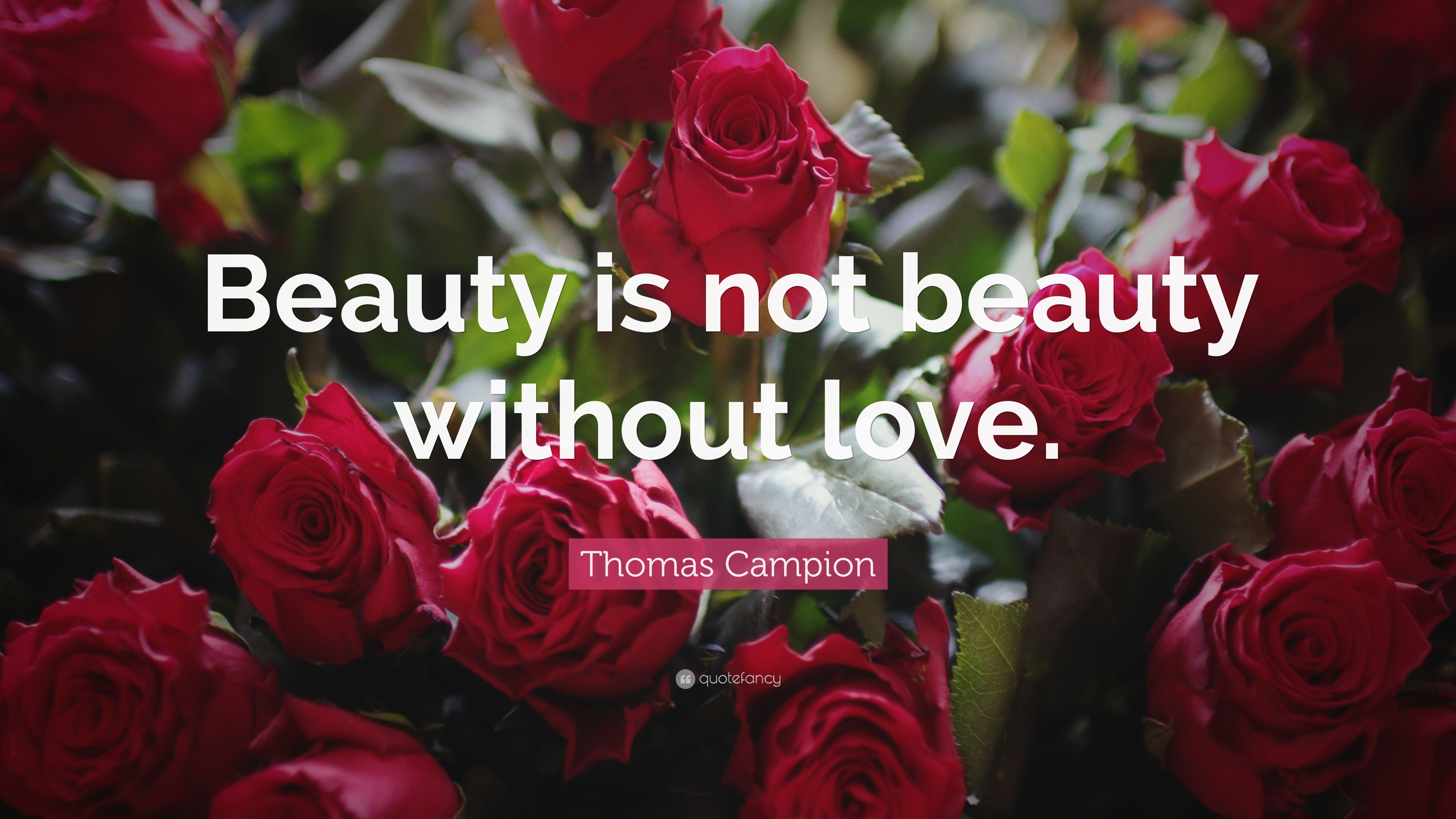 Thomas Campion Quote: “Beauty is not beauty without love.”