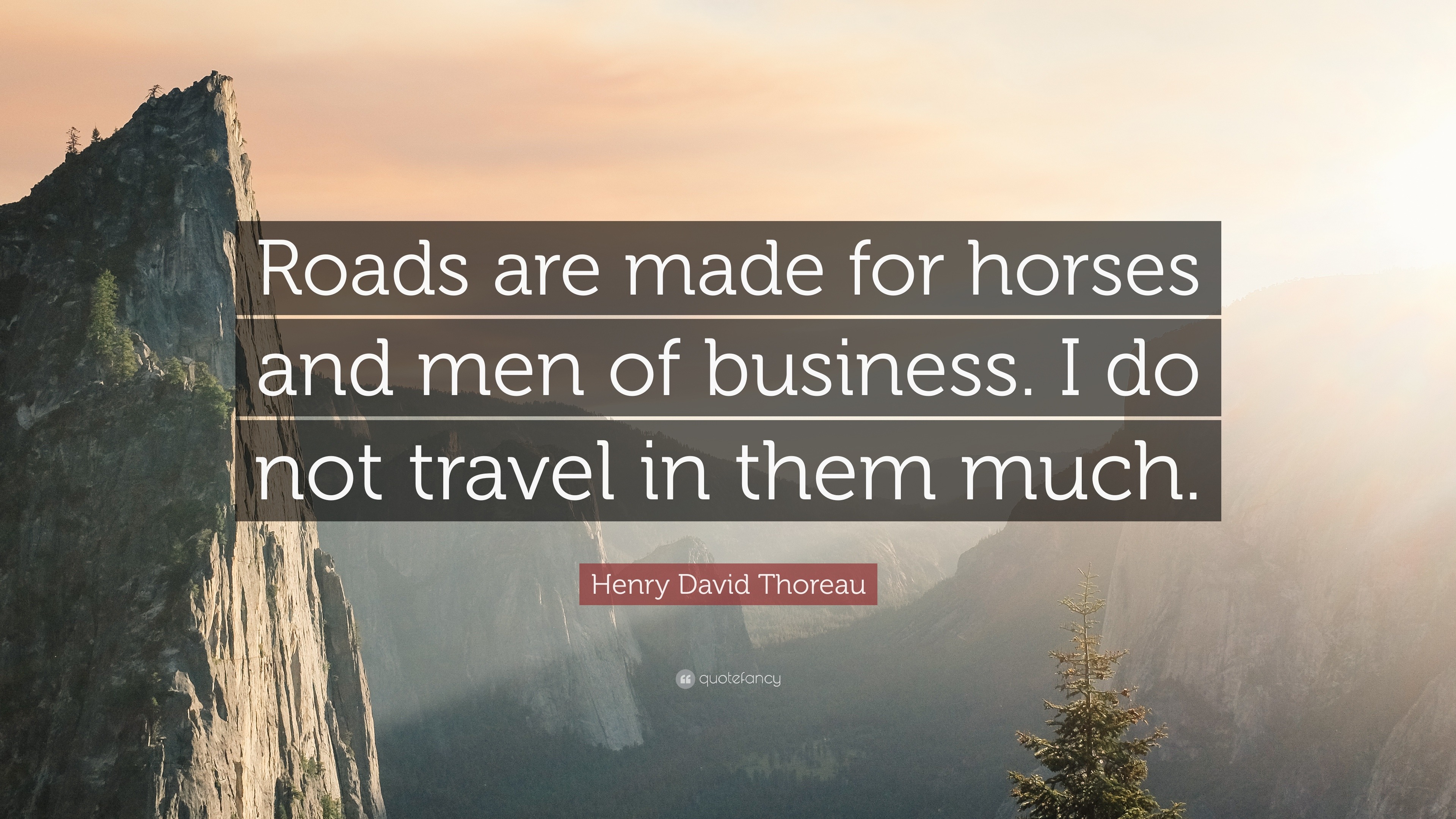 henry david thoreau travel quote
