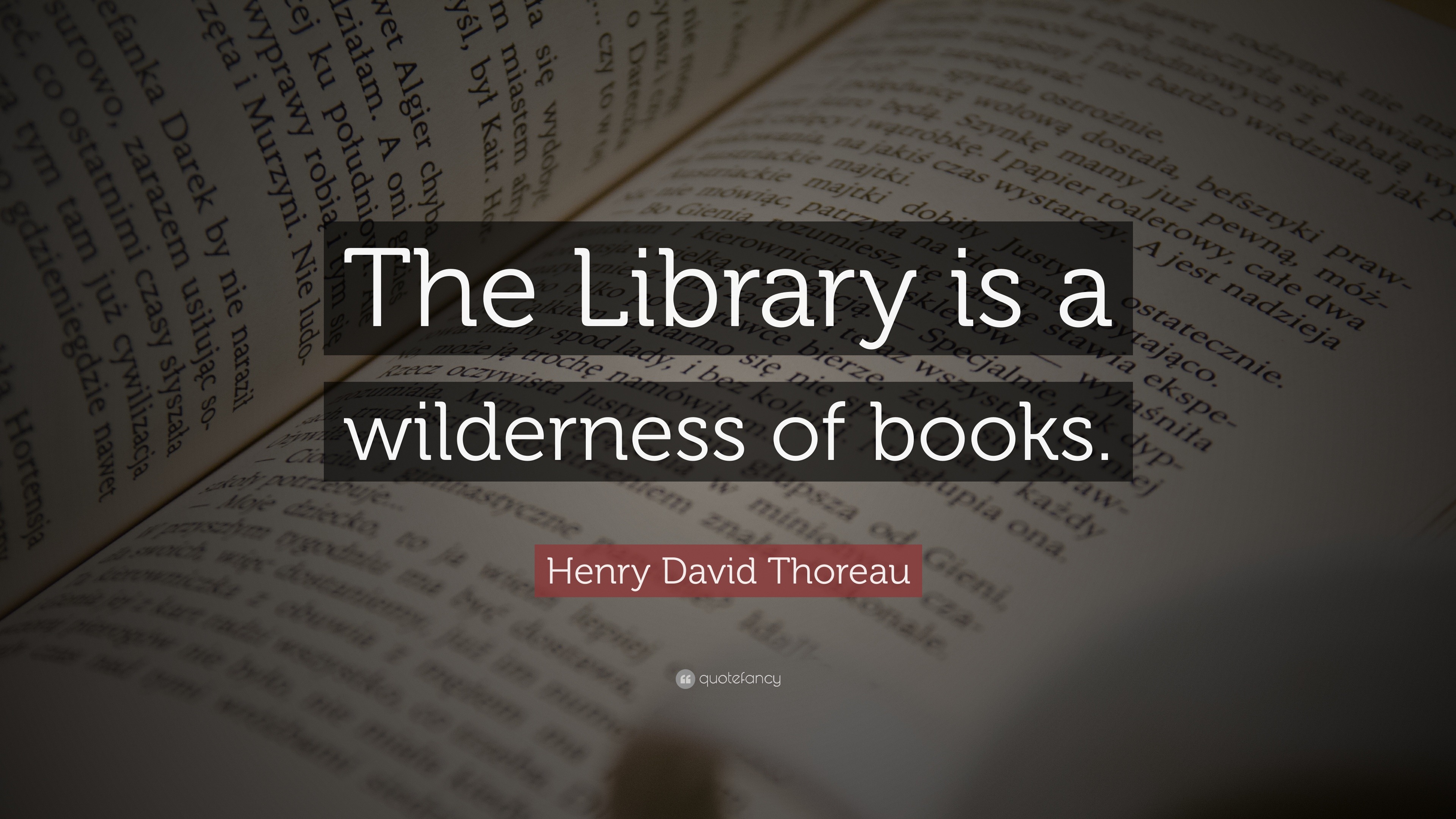 Henry David Thoreau Quote: “The Library is a wilderness of books.”