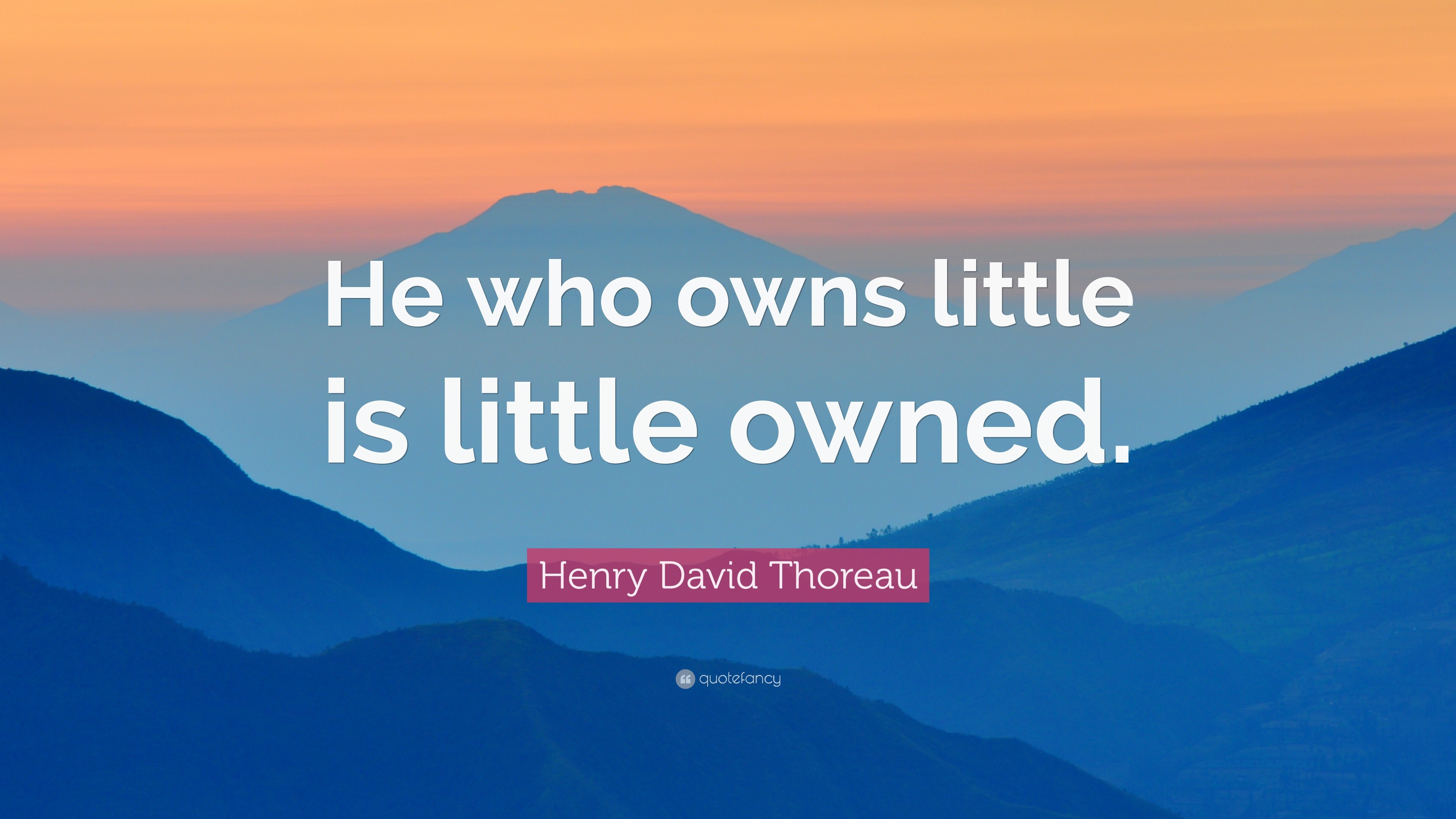 Who Owns Little Trees at Esther Melton blog