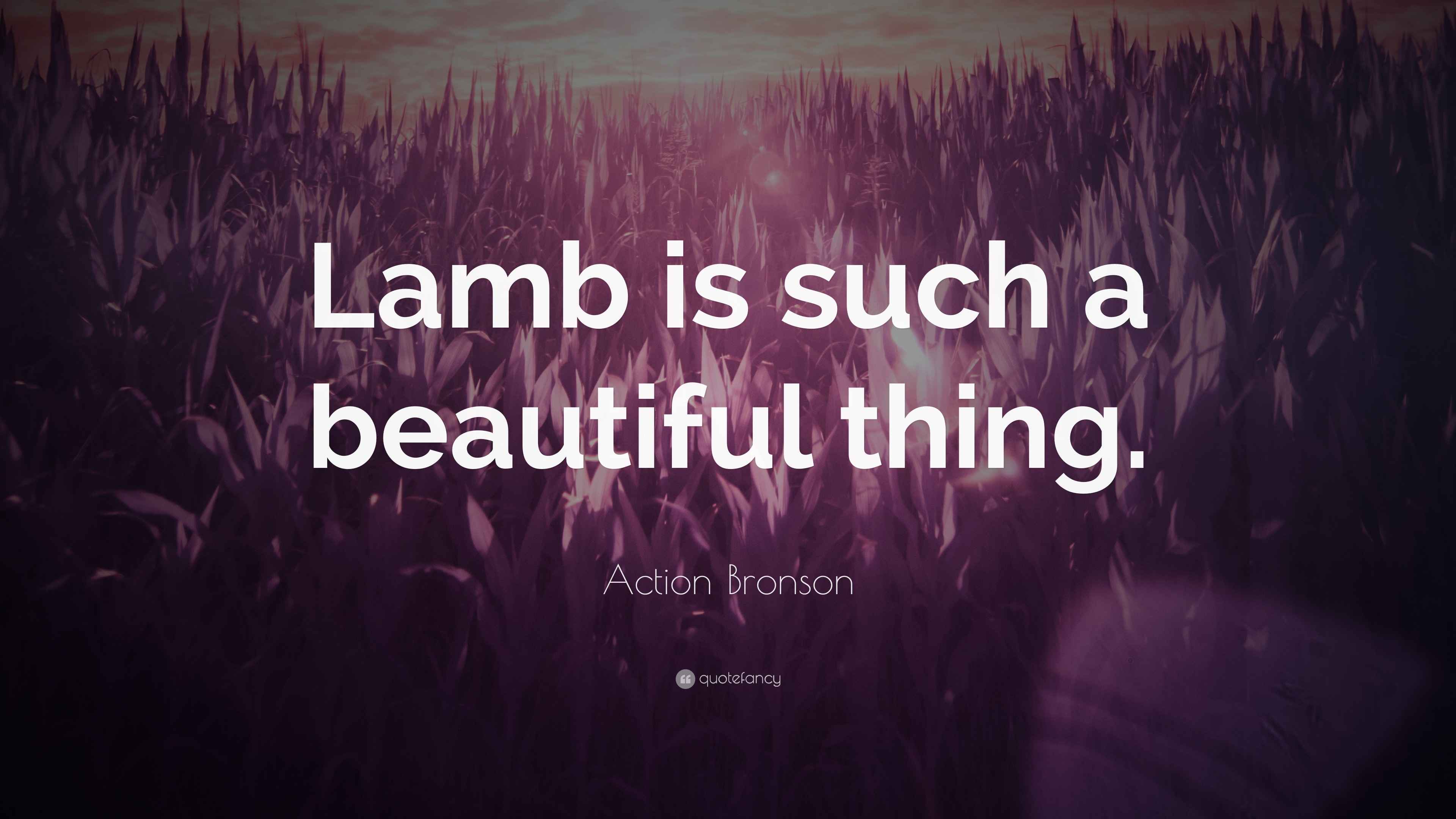 Action Bronson Quote “Lamb is such a beautiful thing.”