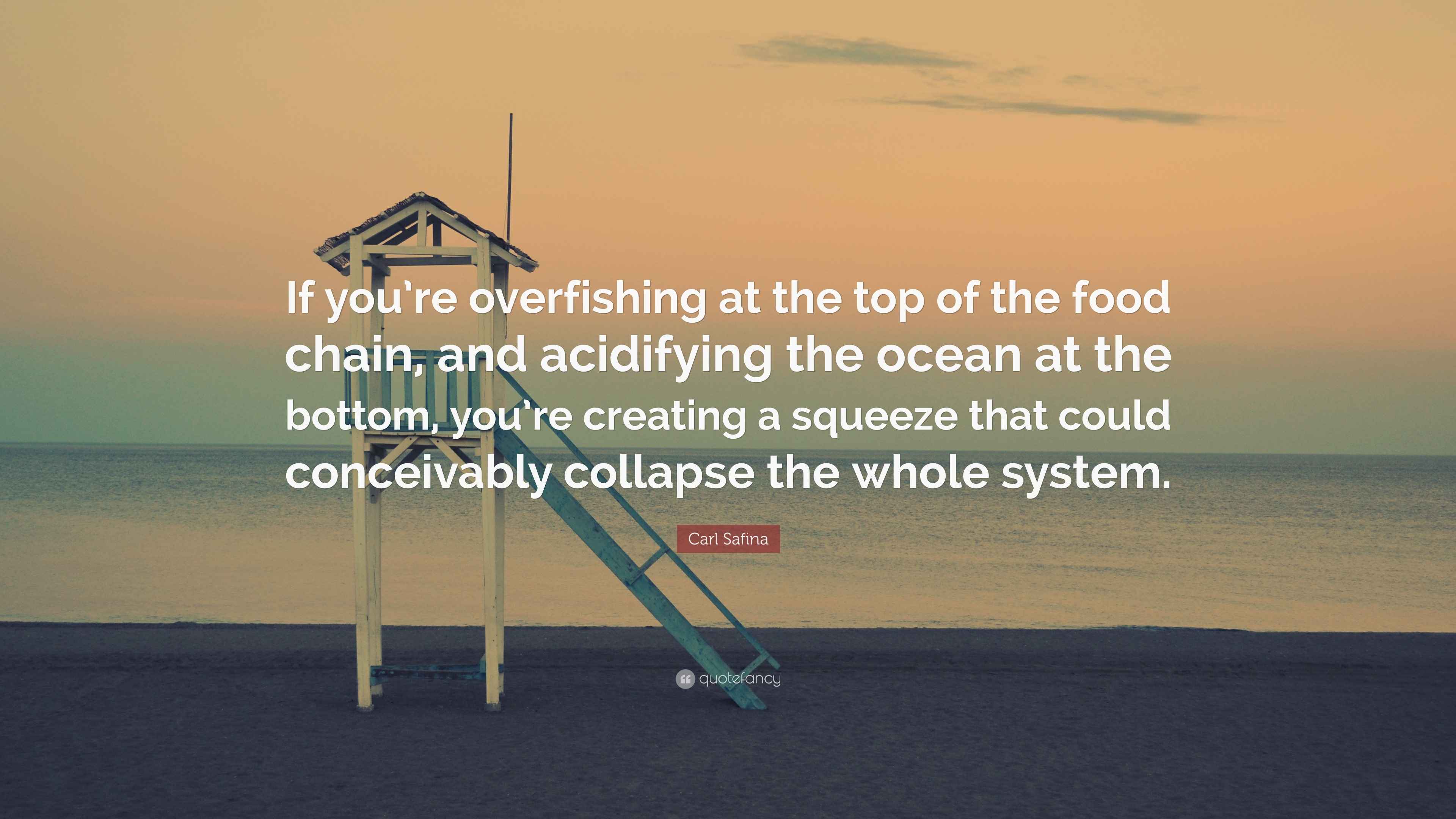 Carl Safina Quote “If you’re overfishing at the top of the food chain