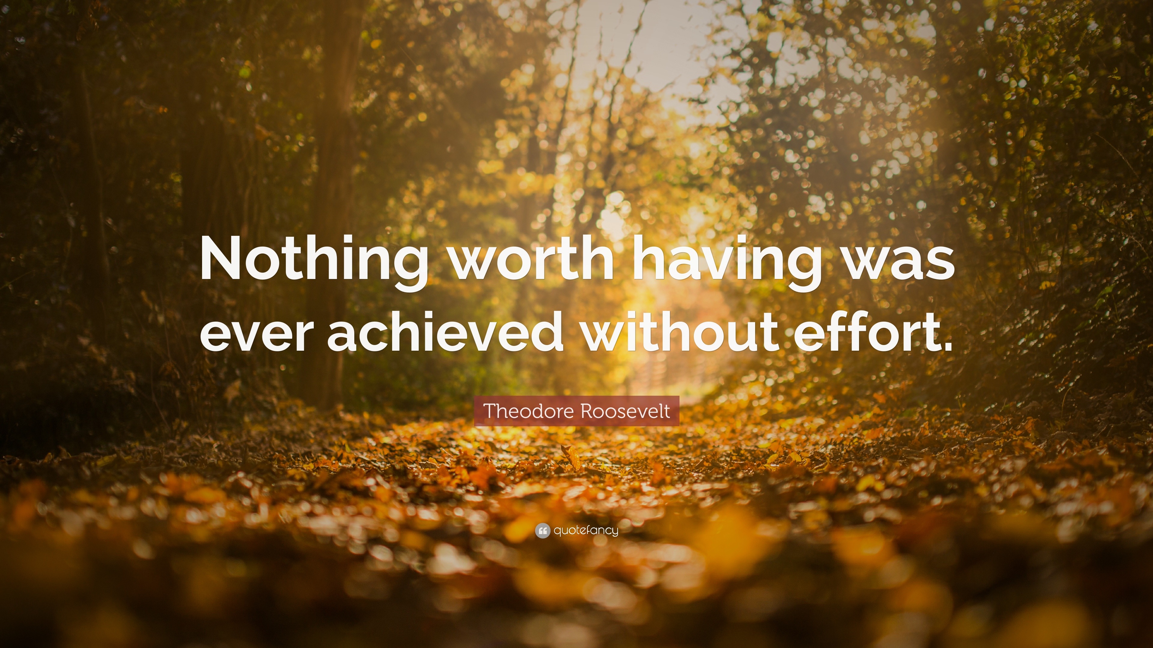 Theodore Roosevelt Quotes (100 wallpapers) - Quotefancy