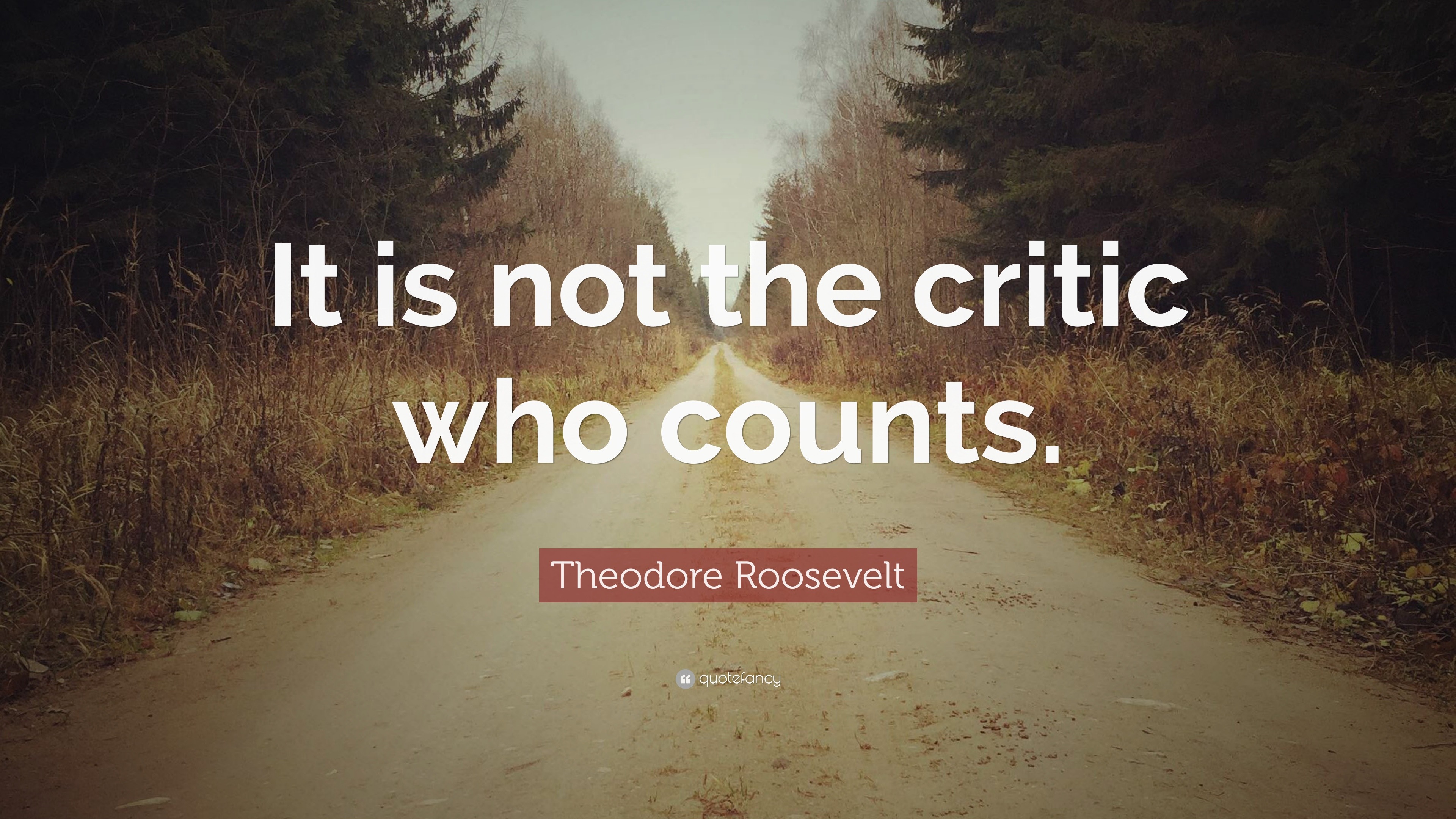 "It is not the critic who counts..." Theodore Roosevelt
