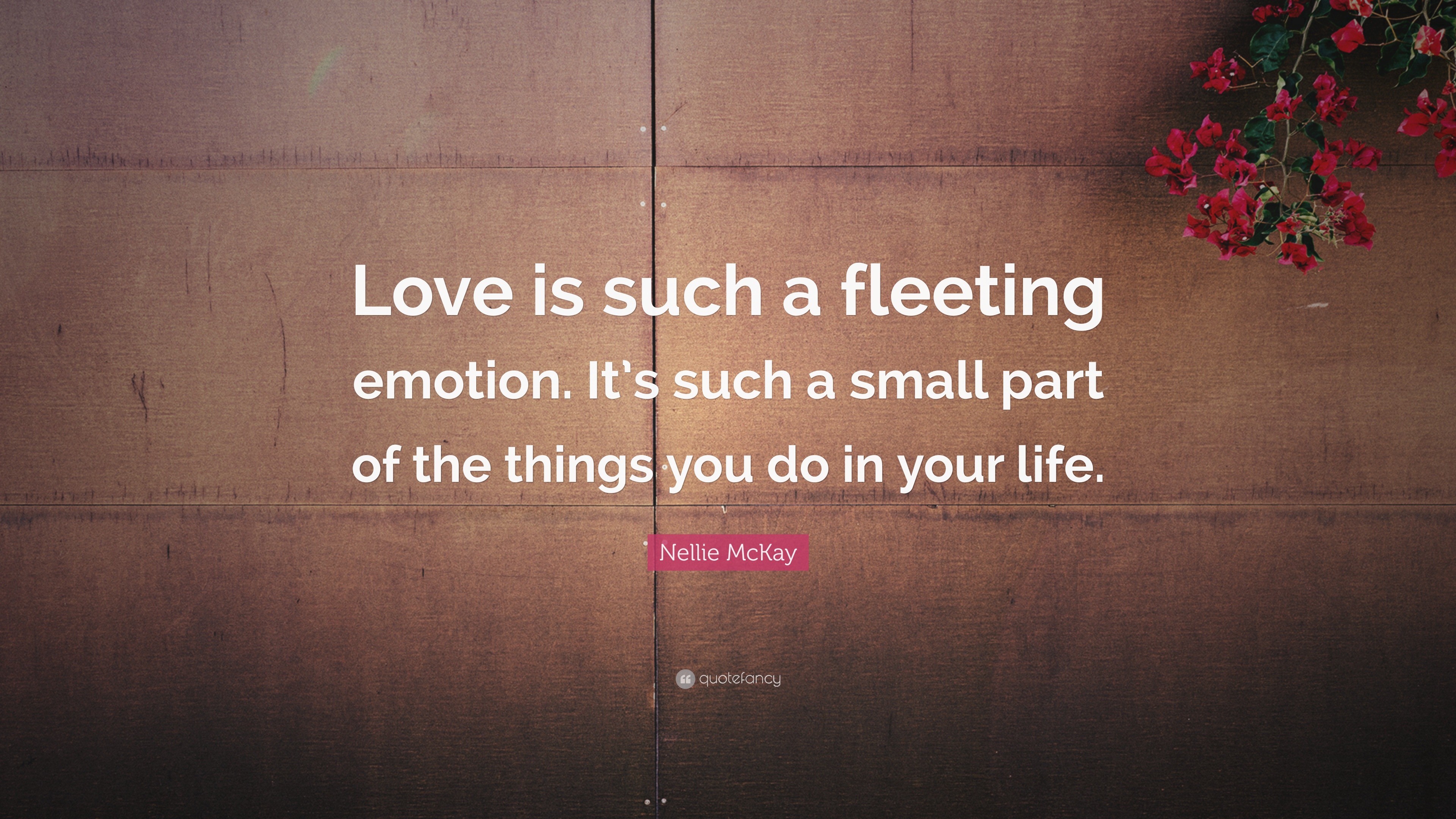 Love And Its Fleeting Properties