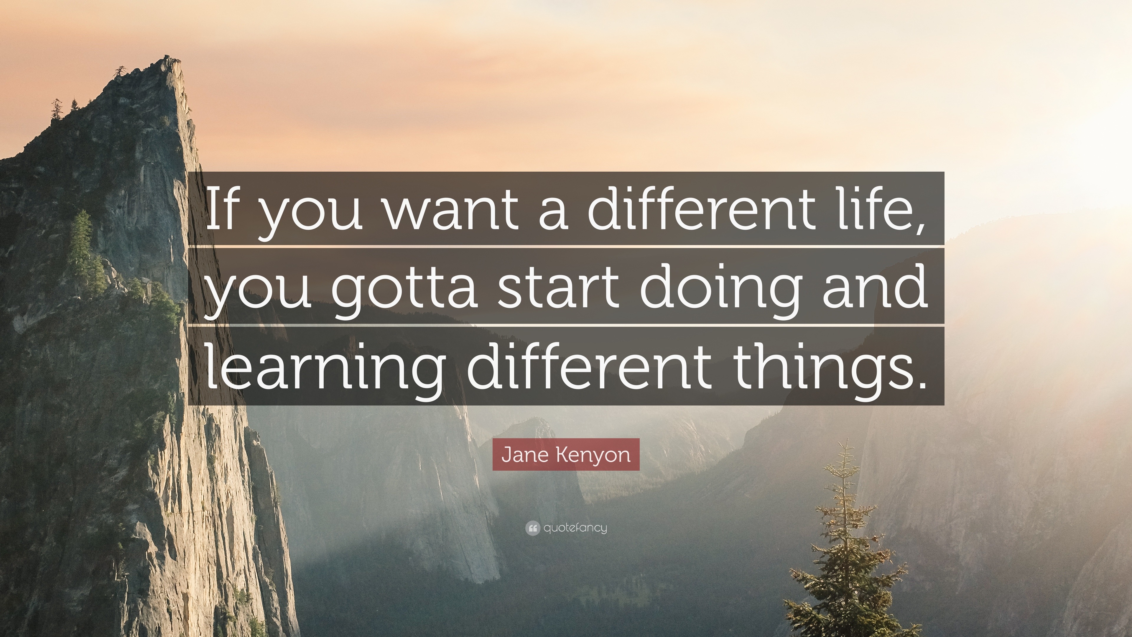 Jane Kenyon Quote: “if You Want A Different Life, You Gotta Start Doing 