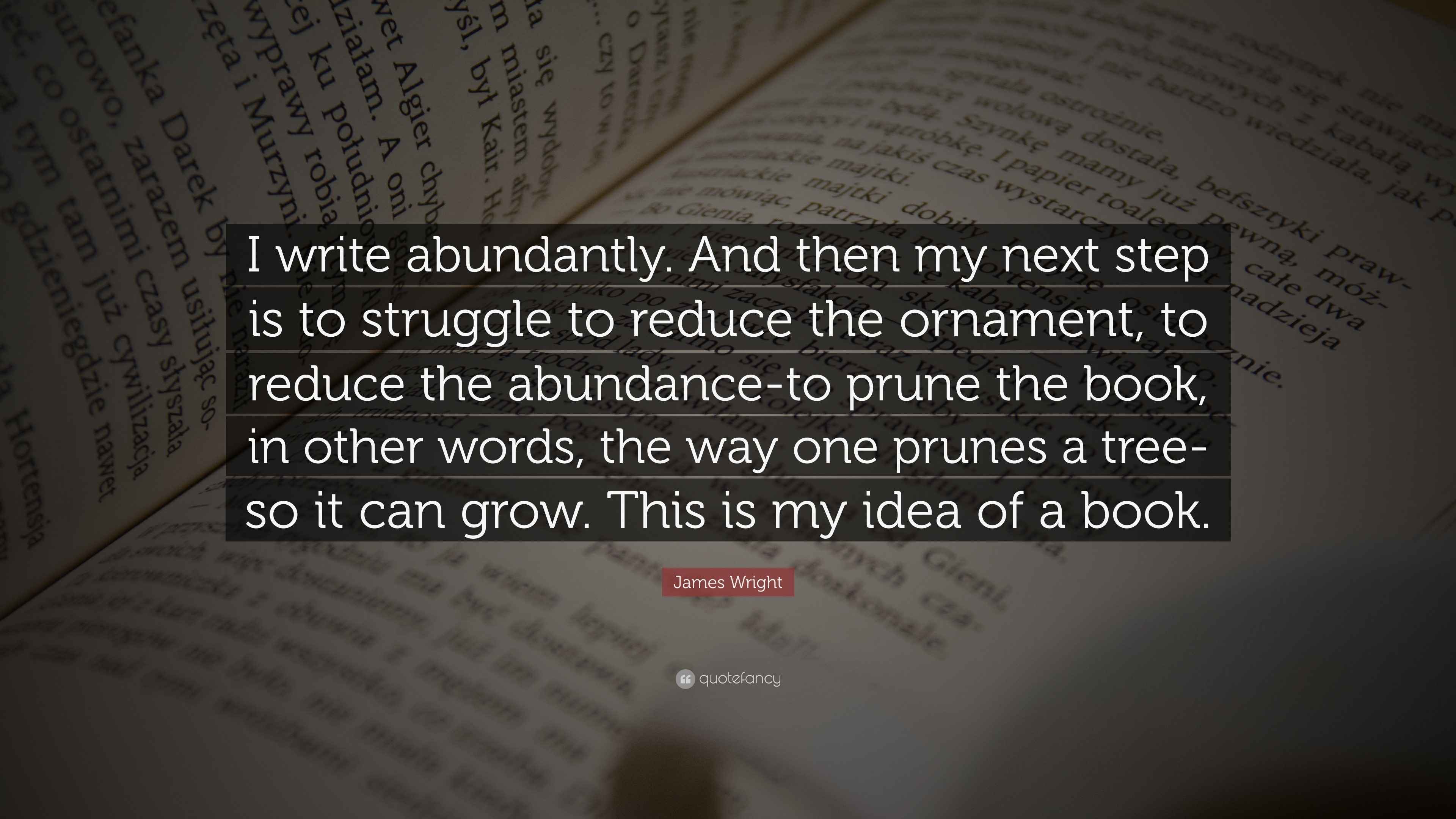 James Wright Quote “I write abundantly. And then my next step is to
