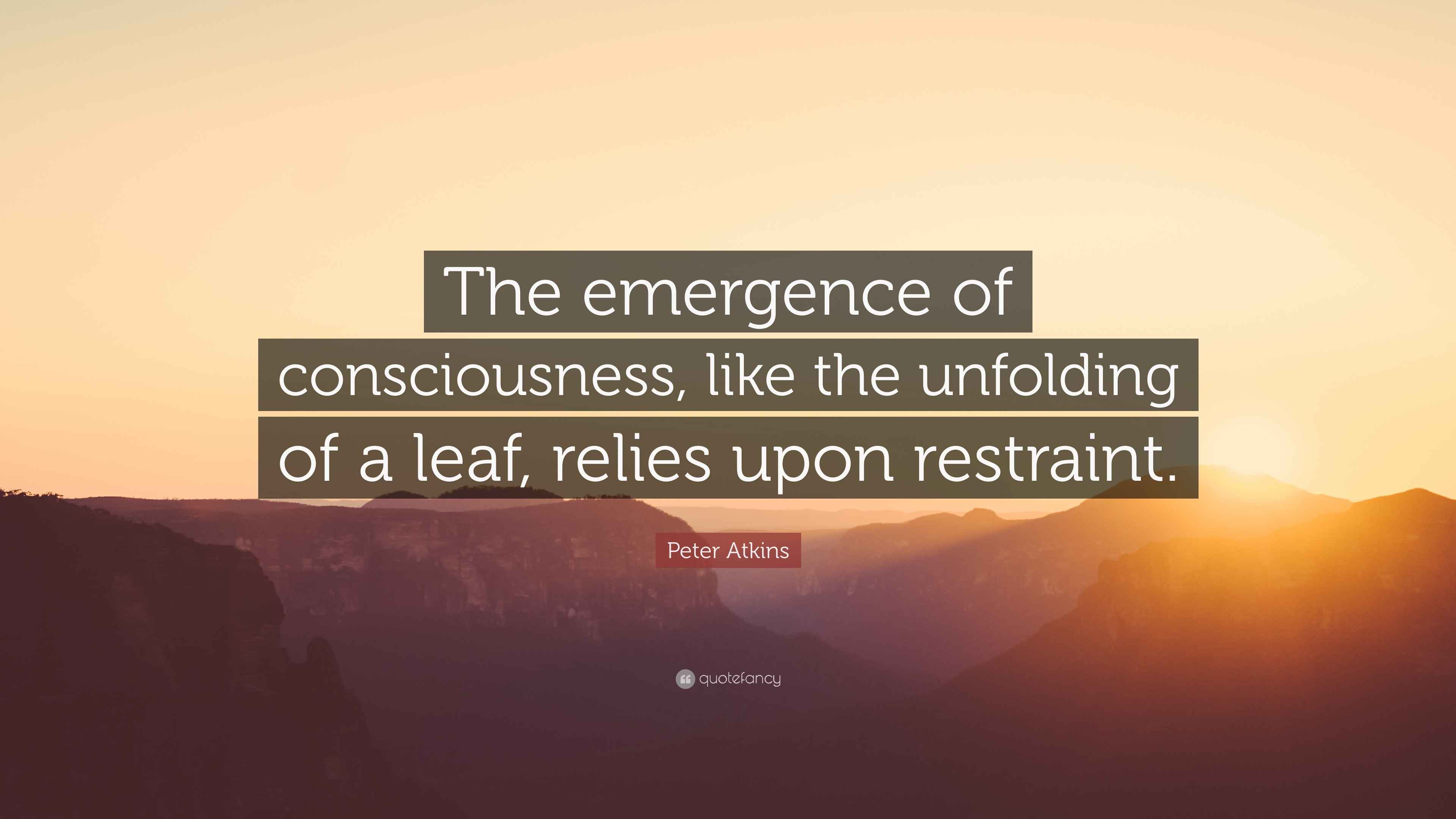Peter Furst - Emergence Insurance | LinkedIn Australia