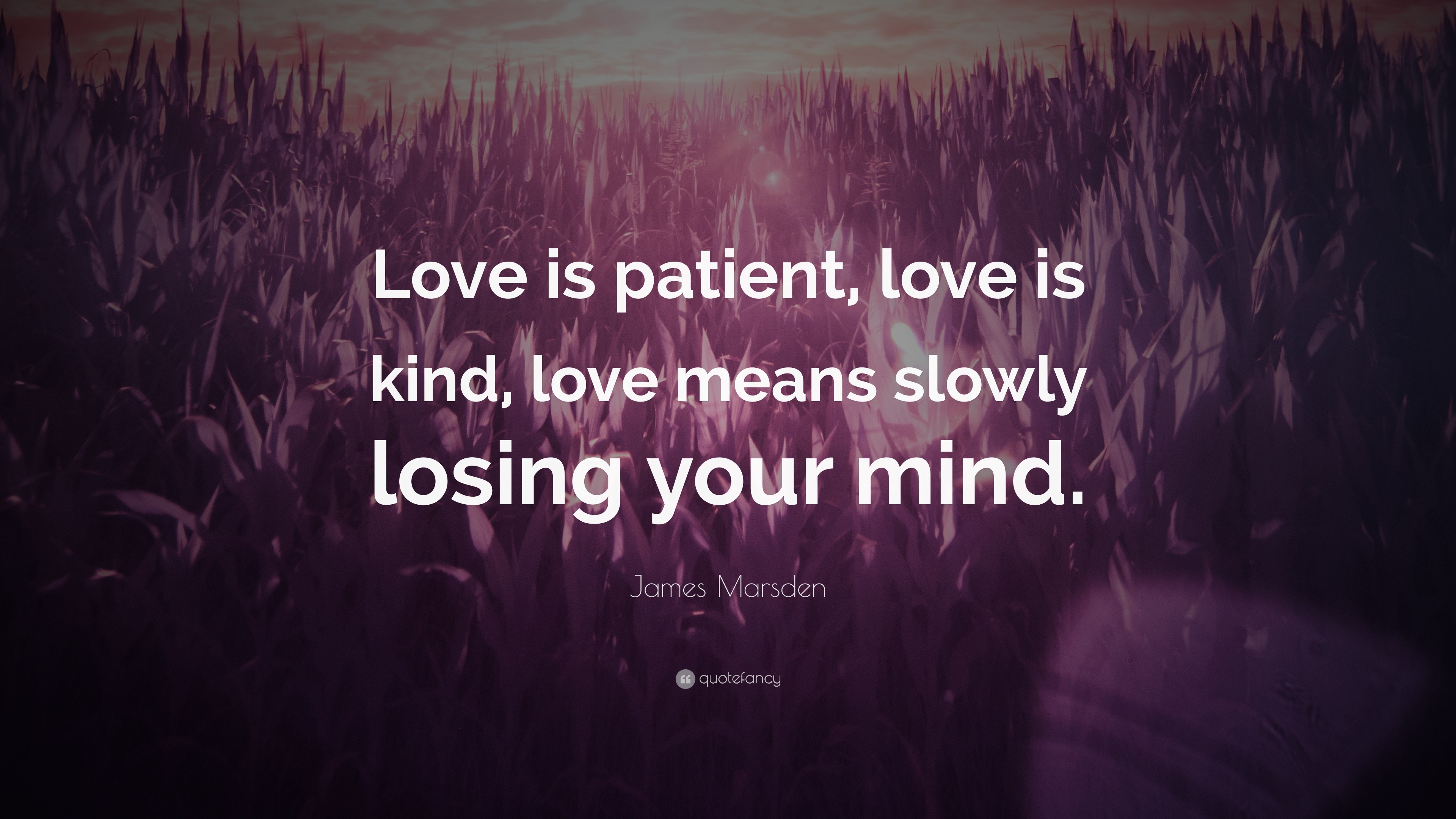 James Marsden Quote: “Love is patient, love is kind, love means slowly