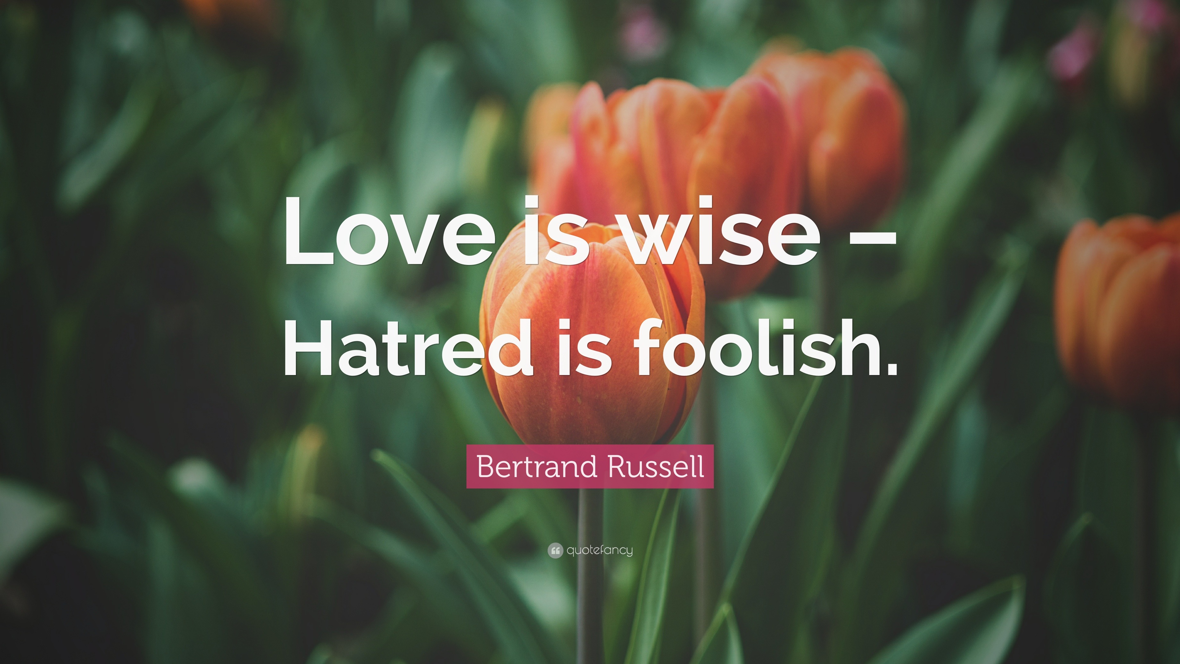 Bertrand Russell Quotes 100 Wallpapers Quotefancy 9632