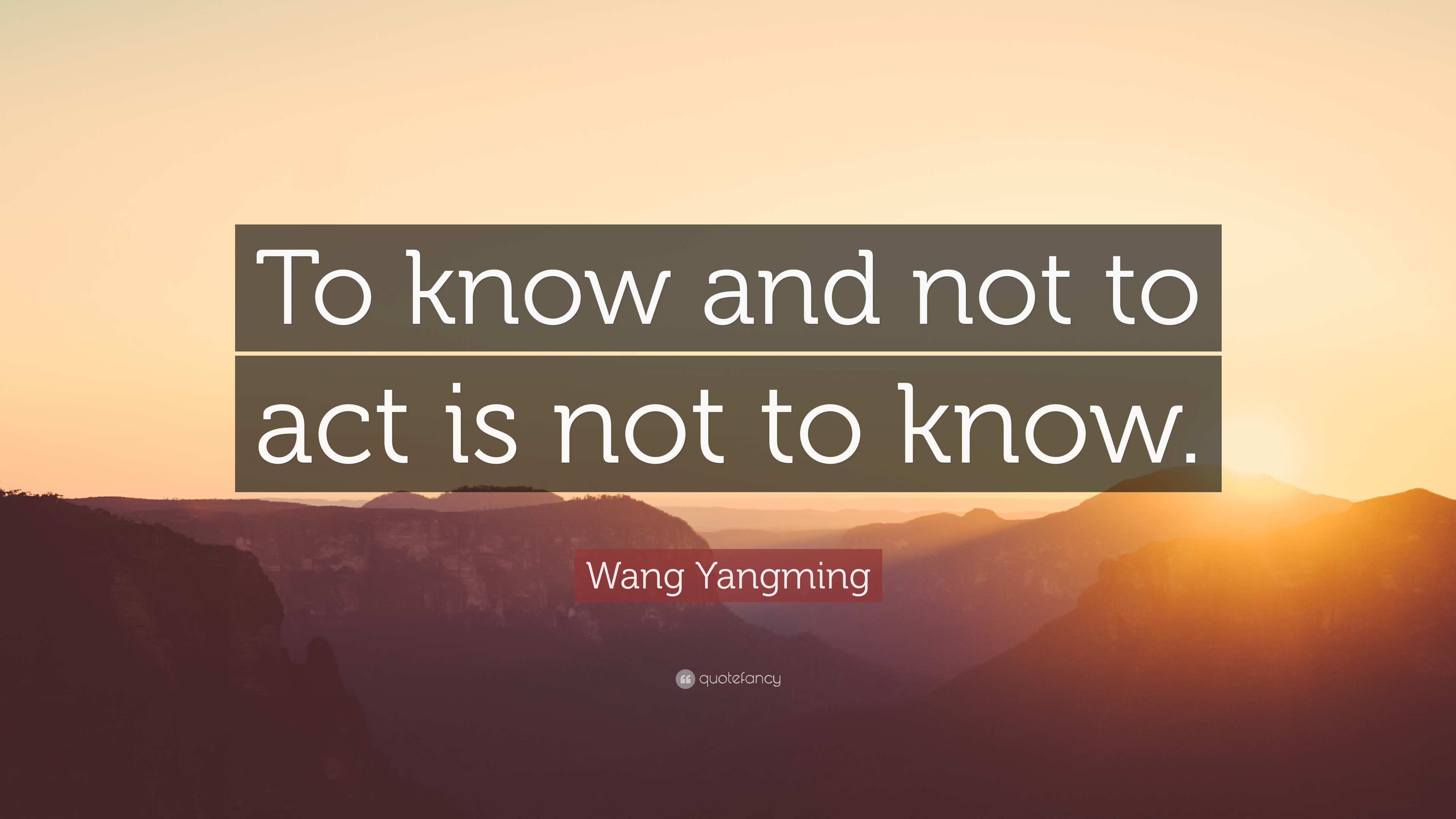 Wang Yangming Quote: “To know and not to act is not to know.”