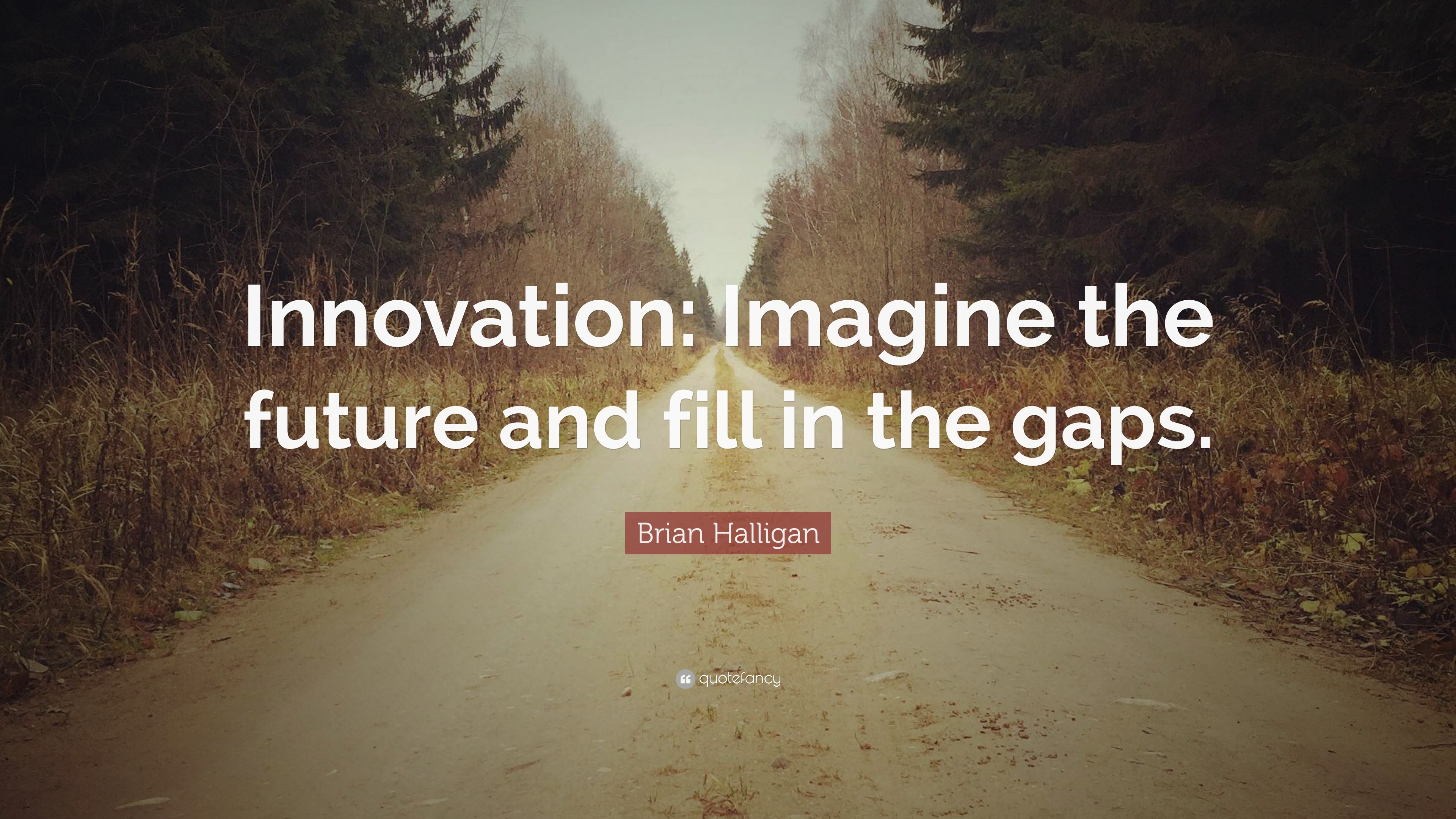 Brian Halligan Quote: “Innovation: Imagine the future and fill in the ...