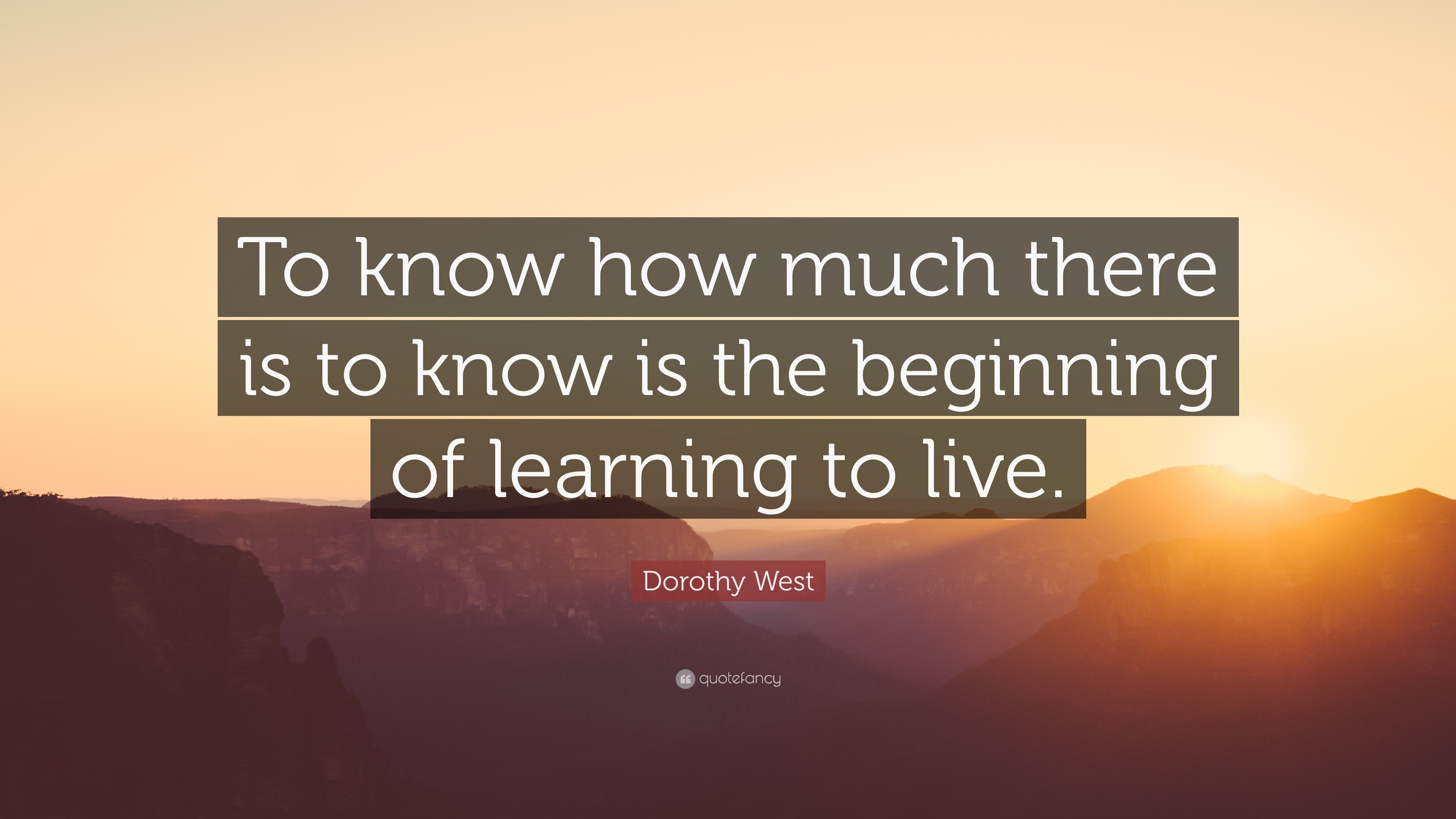 Dorothy West Quote: “To know how much there is to know is the beginning ...