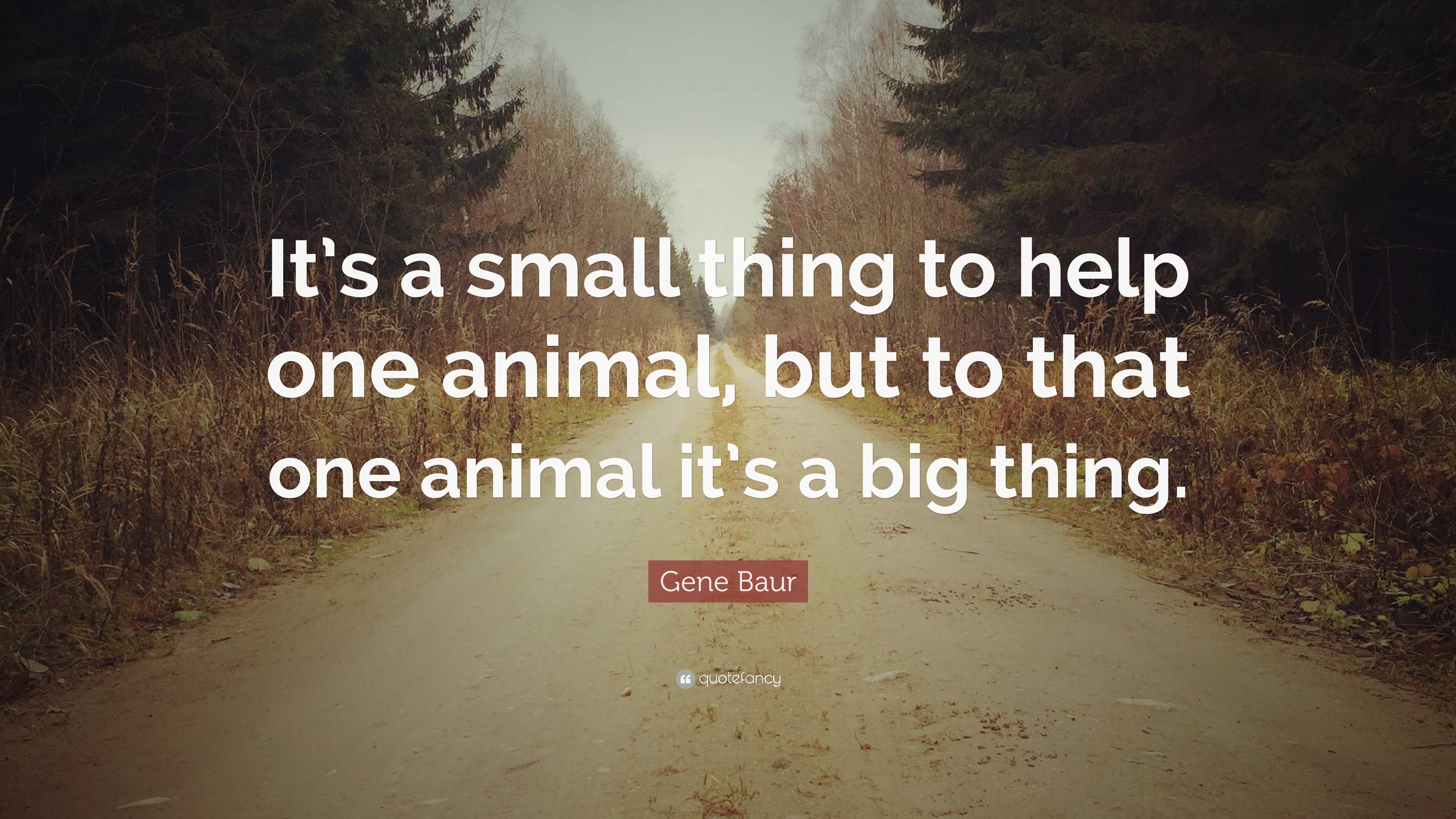 Gene Baur Quote: “It's a small thing to help one animal, but to that one  animal