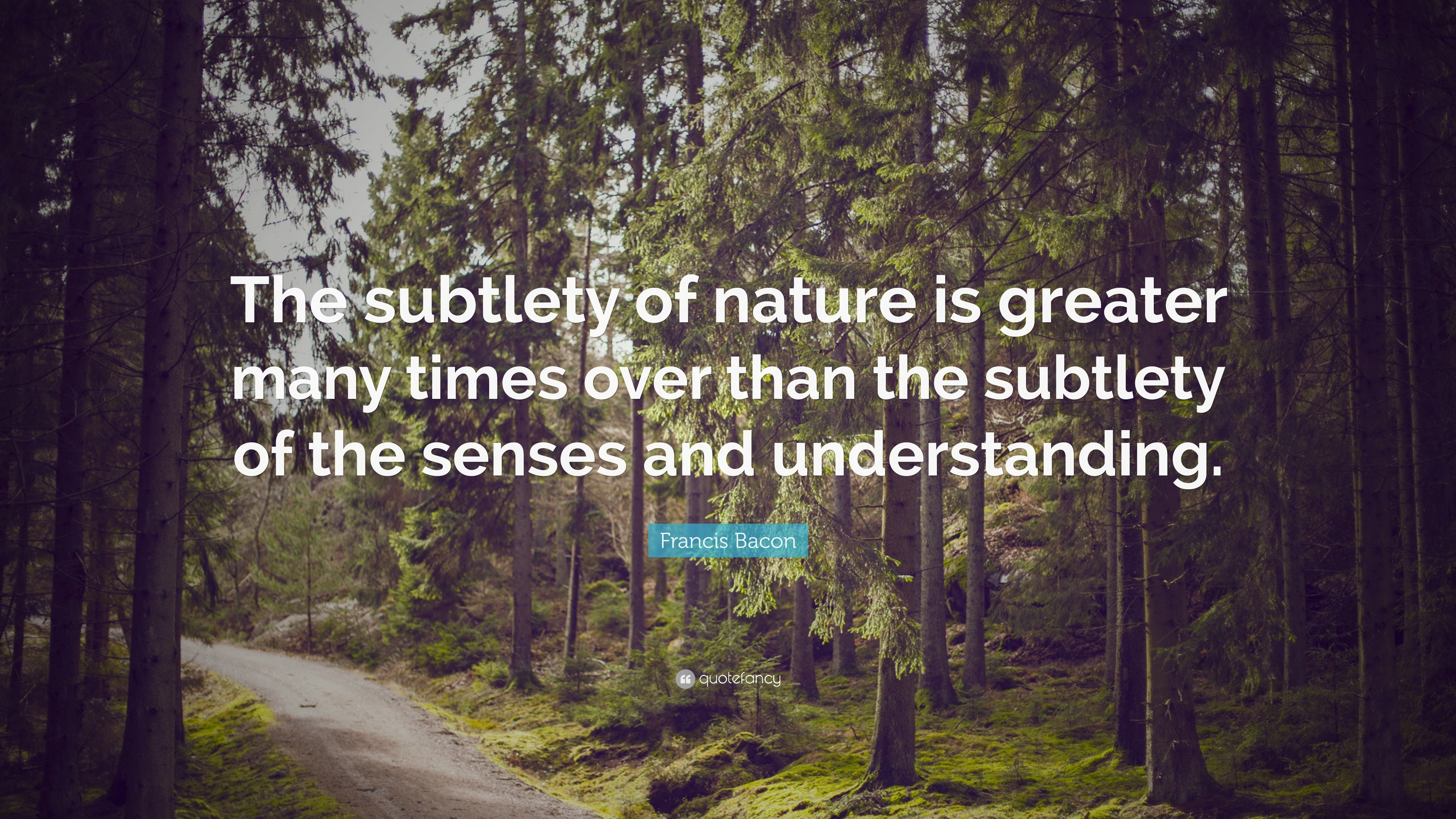 Francis Bacon Quote: “the Subtlety Of Nature Is Greater Many Times Over 