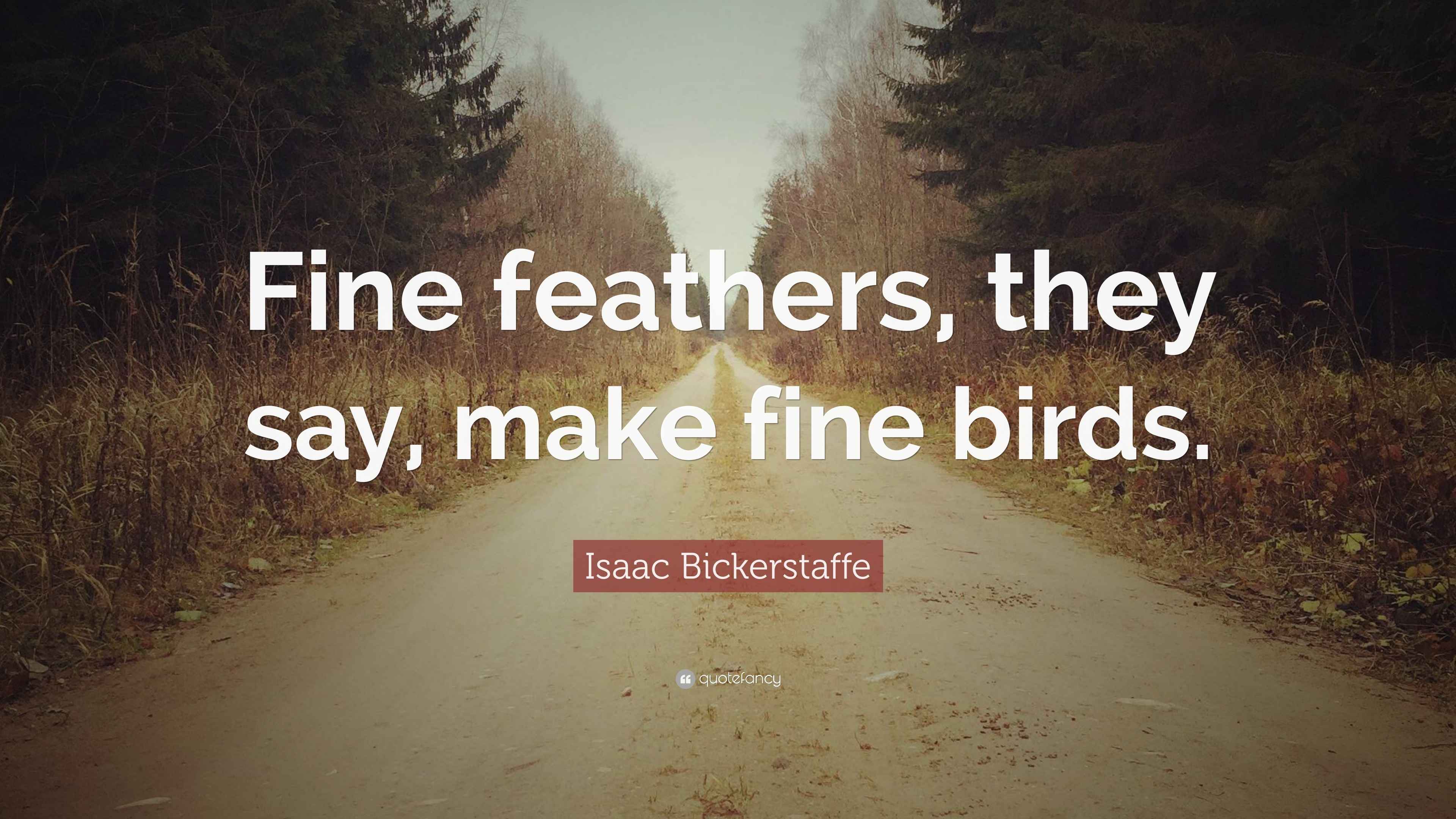 Isaac Bickerstaffe Quote “Fine feathers, they say, make fine birds.”
