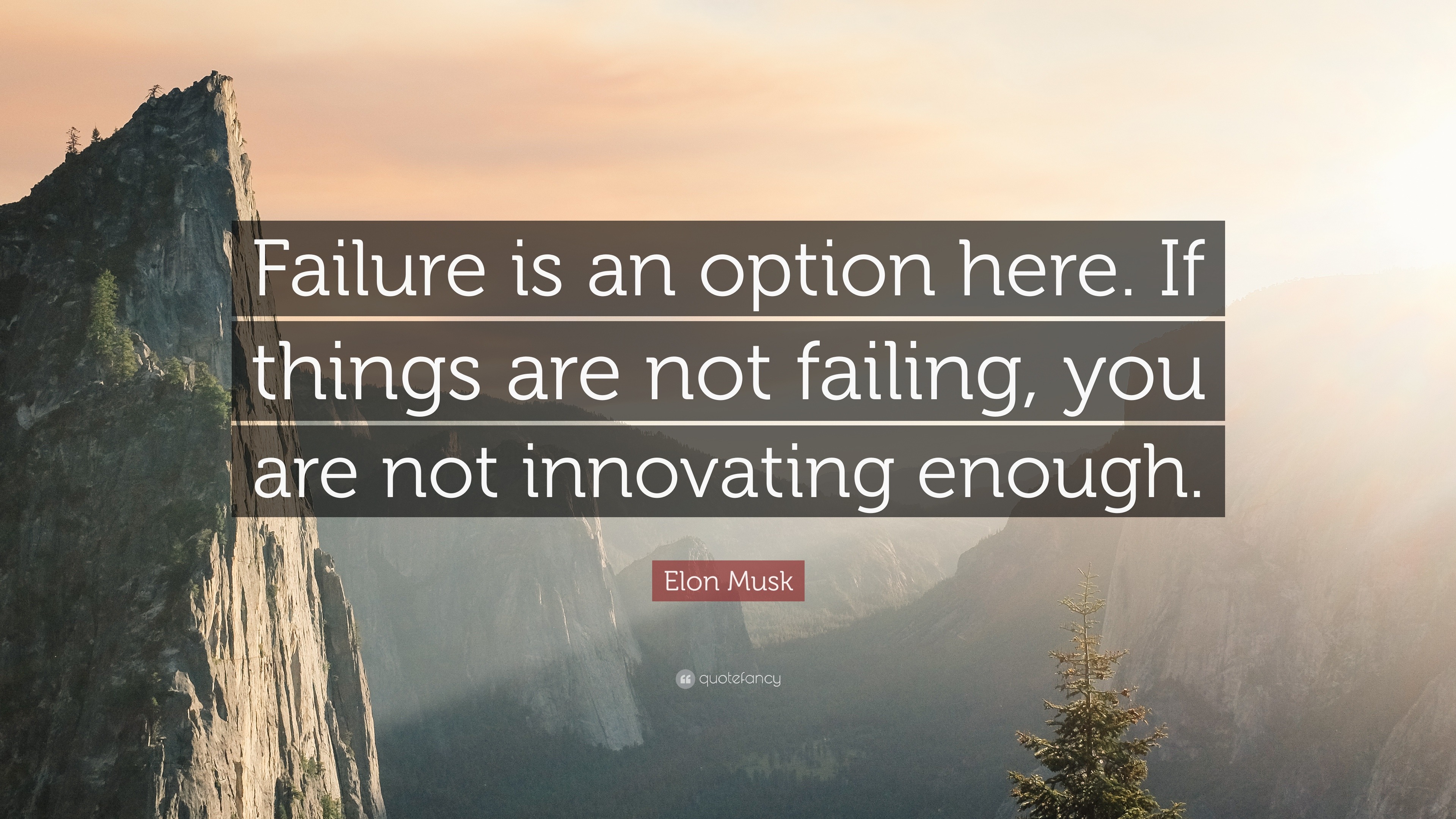 Elon Musk Quote: “Failure is an option here. If things are not failing