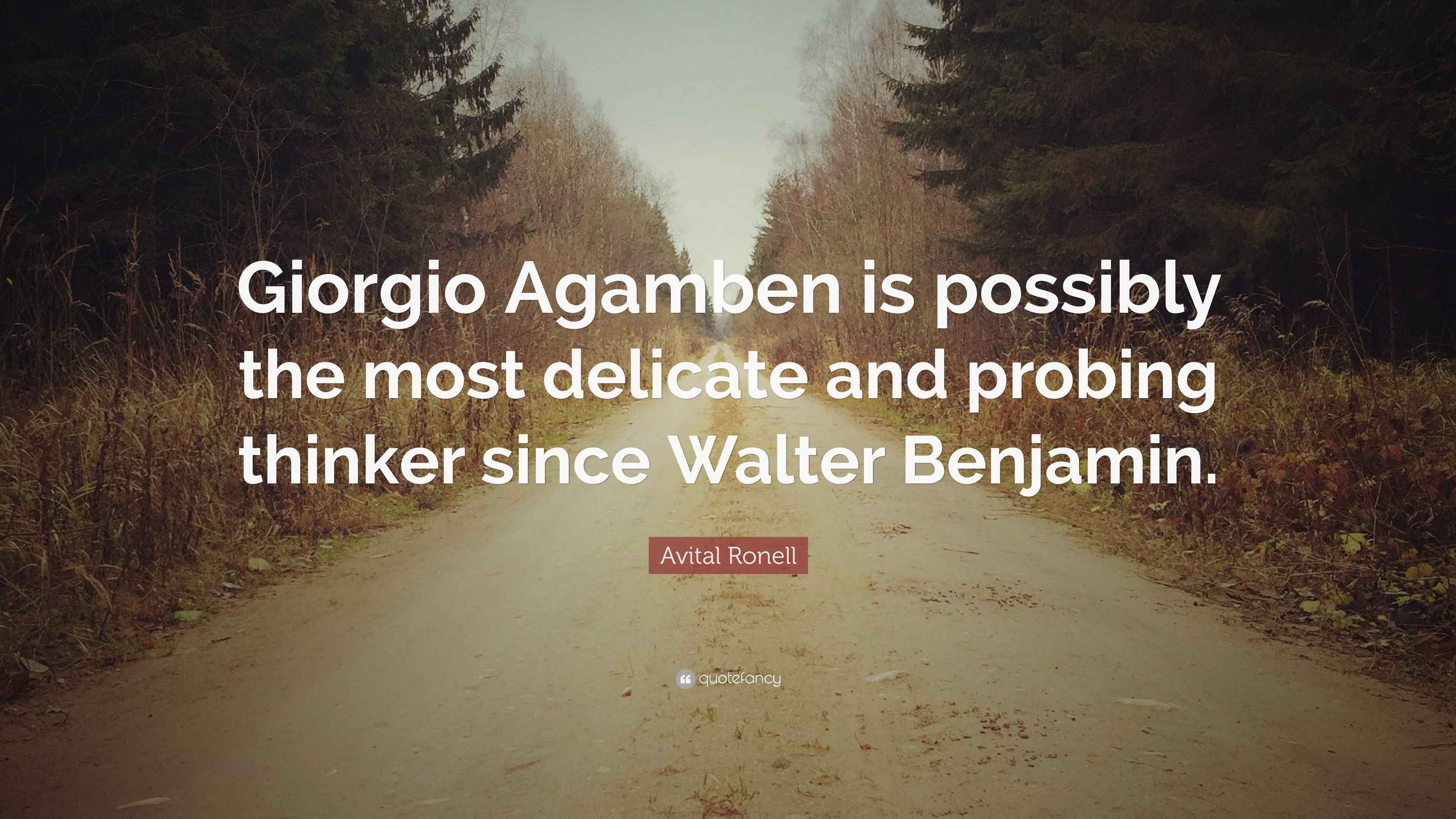 Giorgio Agamben with reflection on his delicate approach