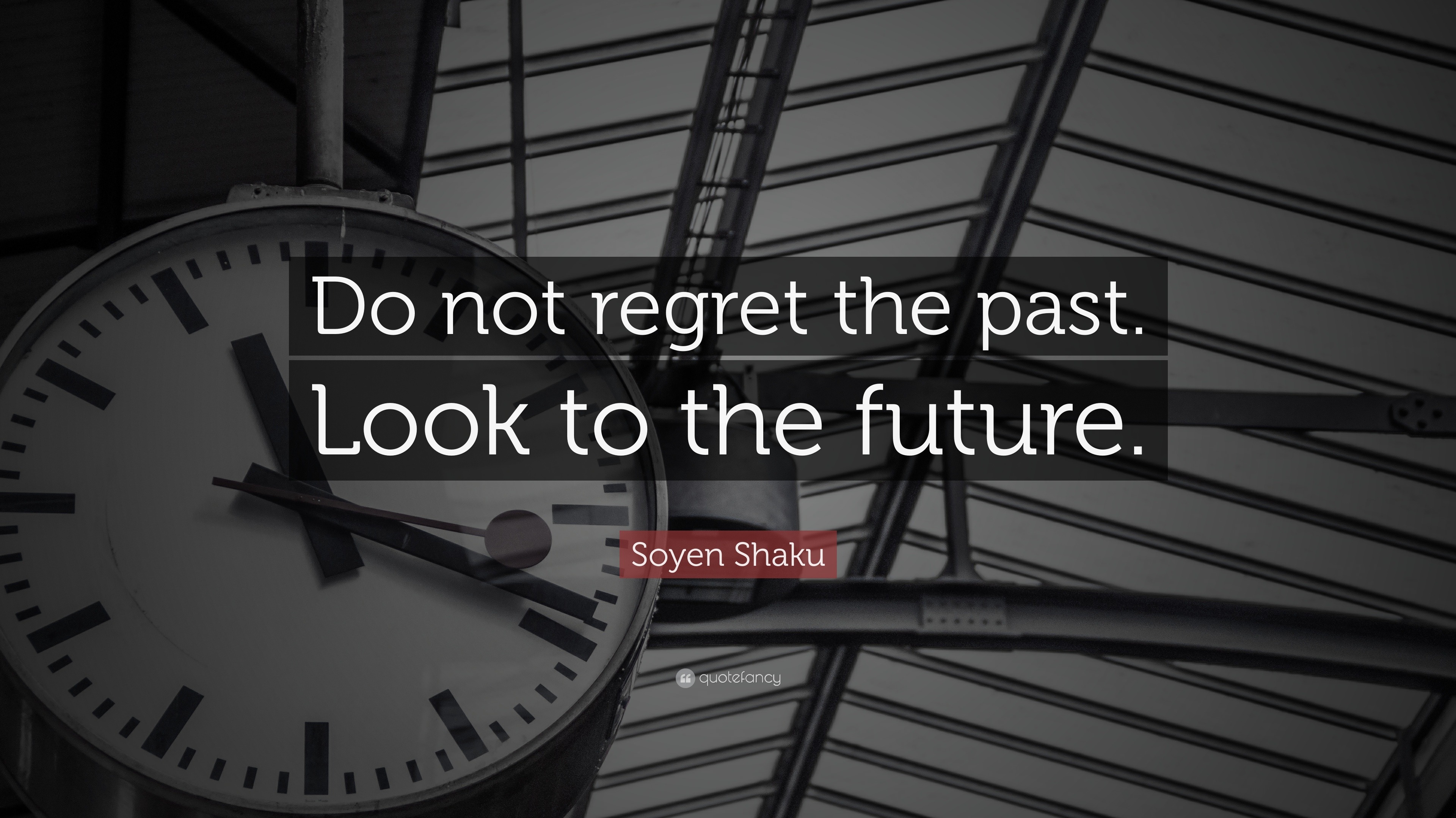 Soyen Shaku Quote: “Do not regret the past. Look to the future.”