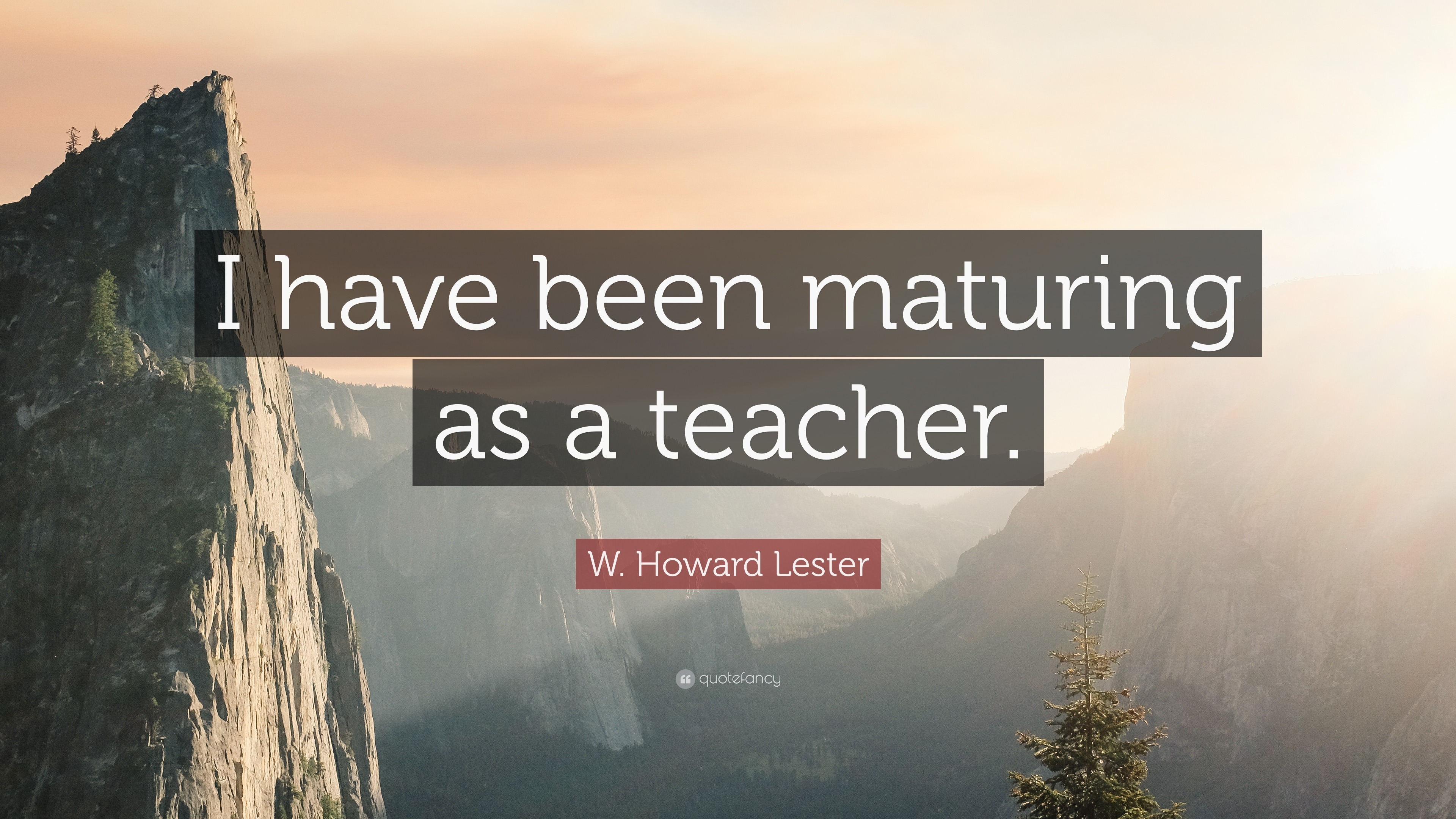 W. Howard Lester Quote: “I have been maturing as a teacher.”