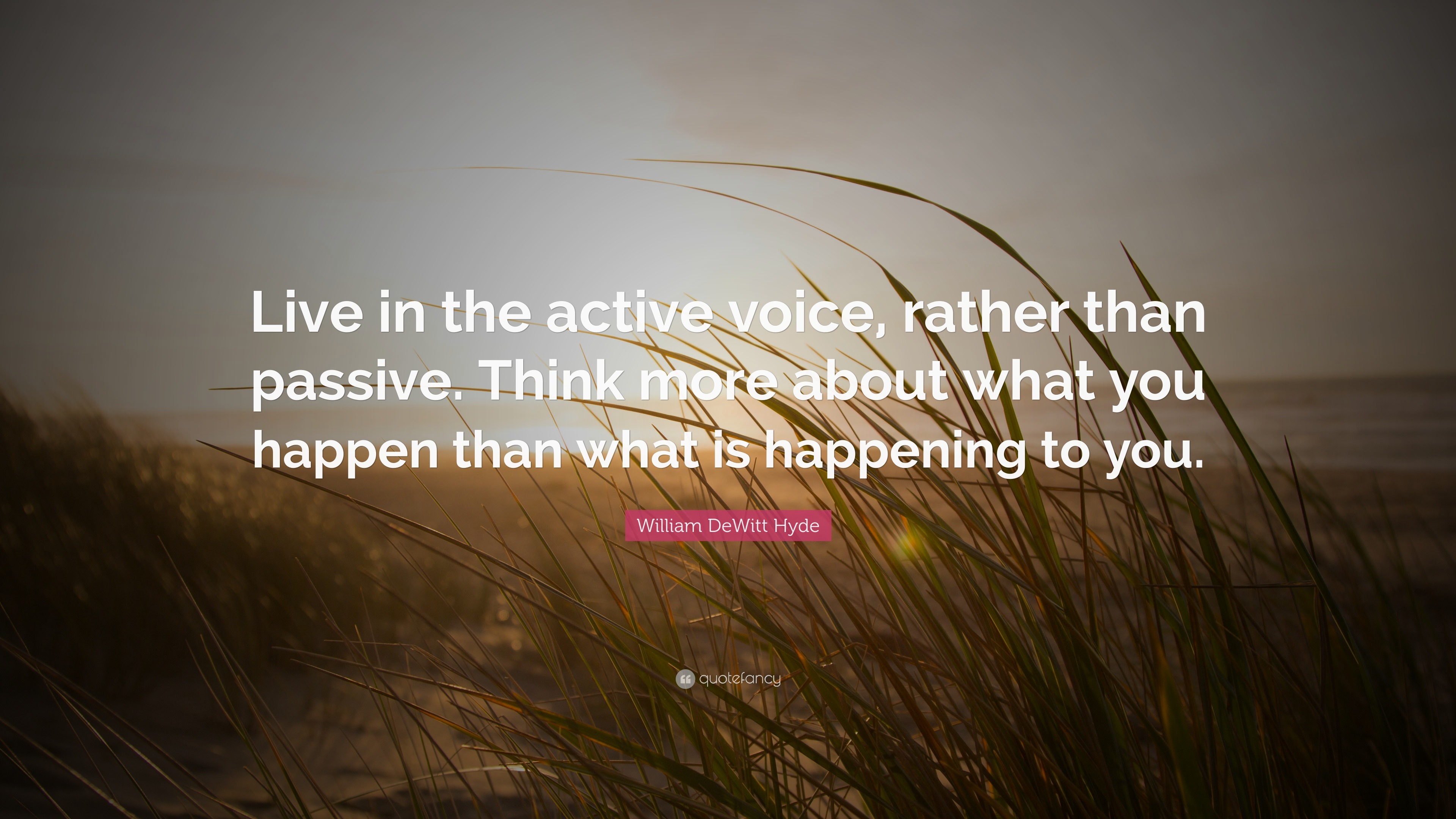 William DeWitt Hyde Quote: “Live in the active voice, rather than ...