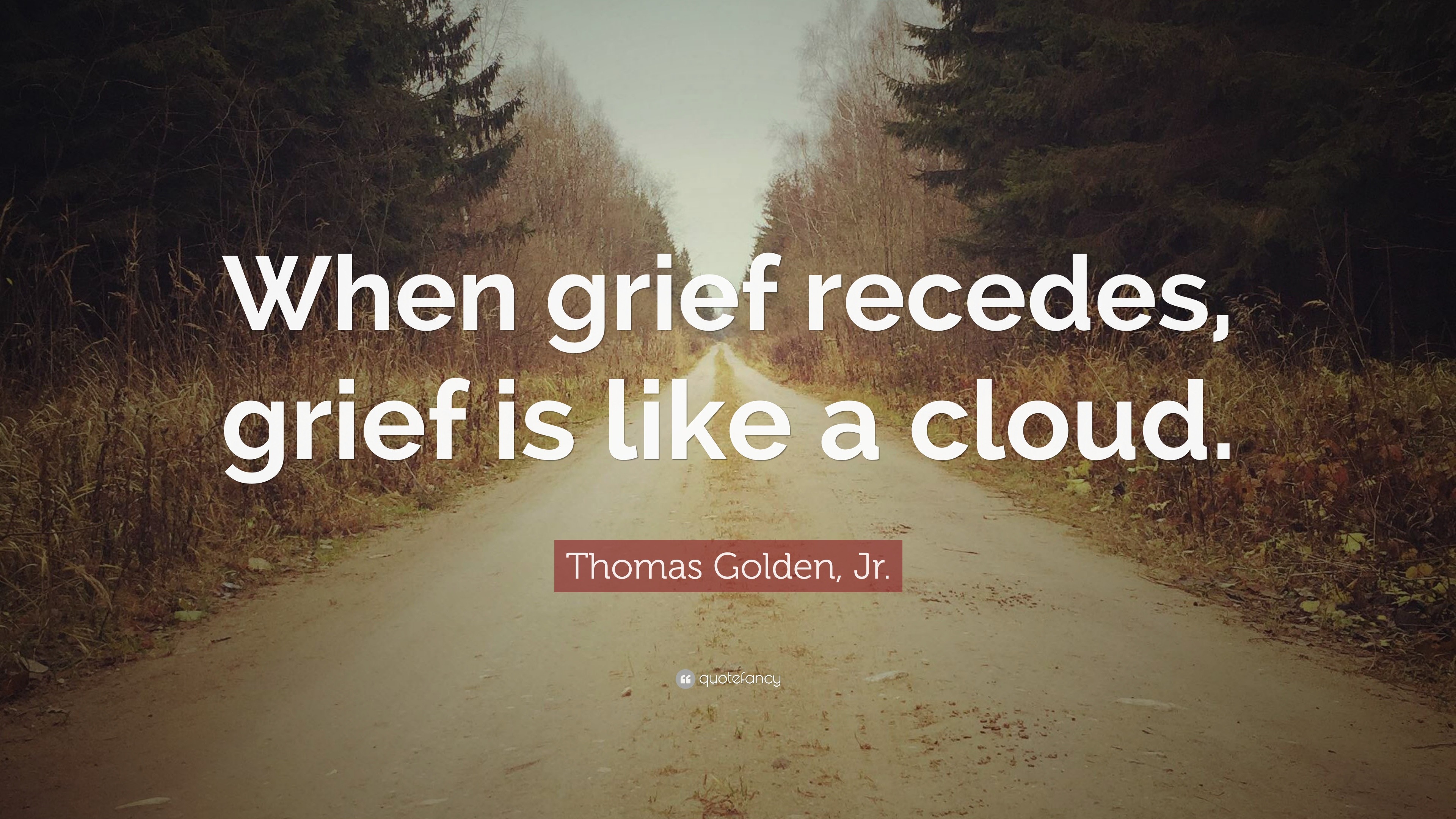 Thomas Golden, Jr. Quote: “When grief recedes, grief is like a cloud.”