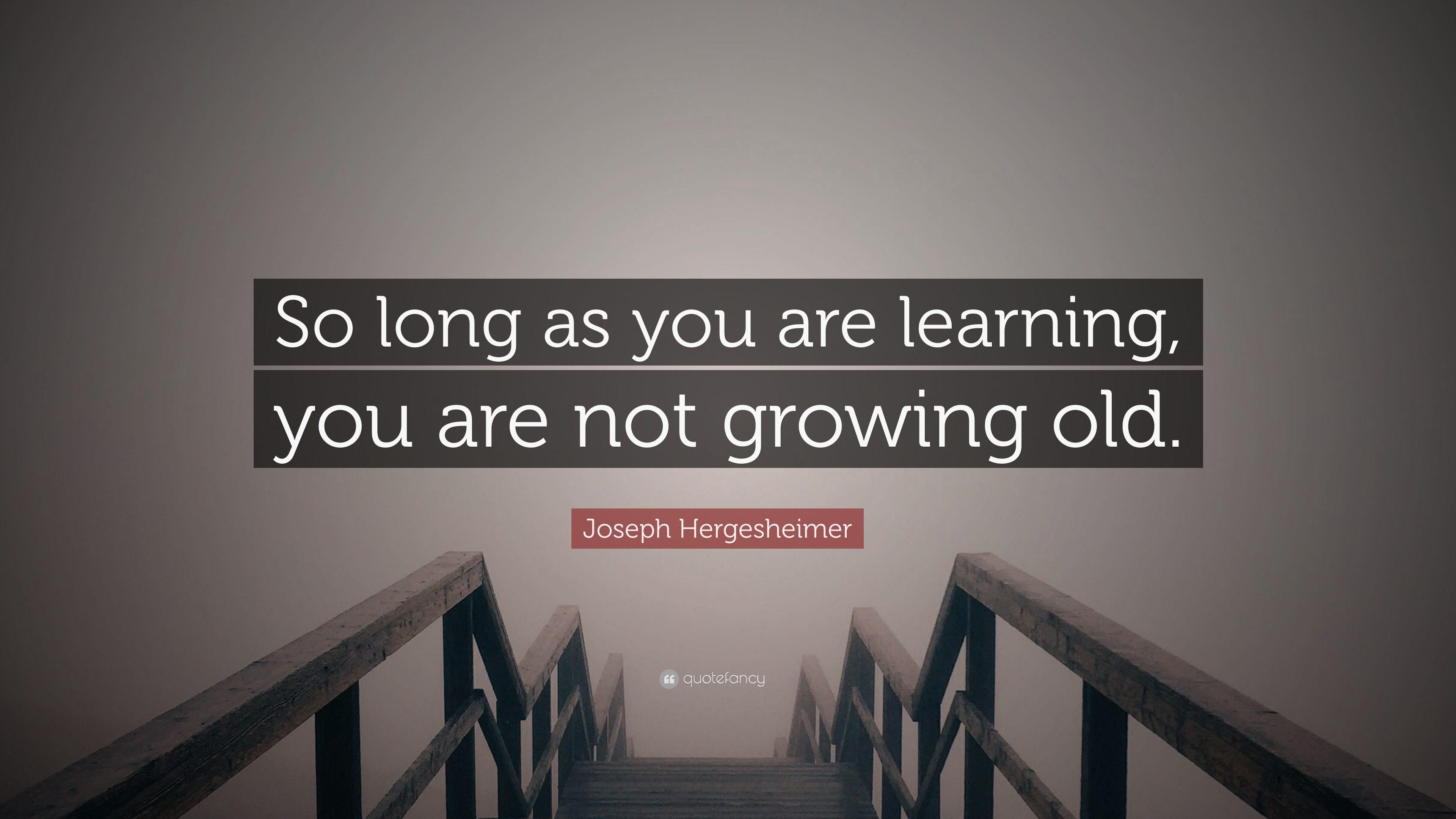 Joseph Hergesheimer Quote: “So long as you are learning, you are not ...