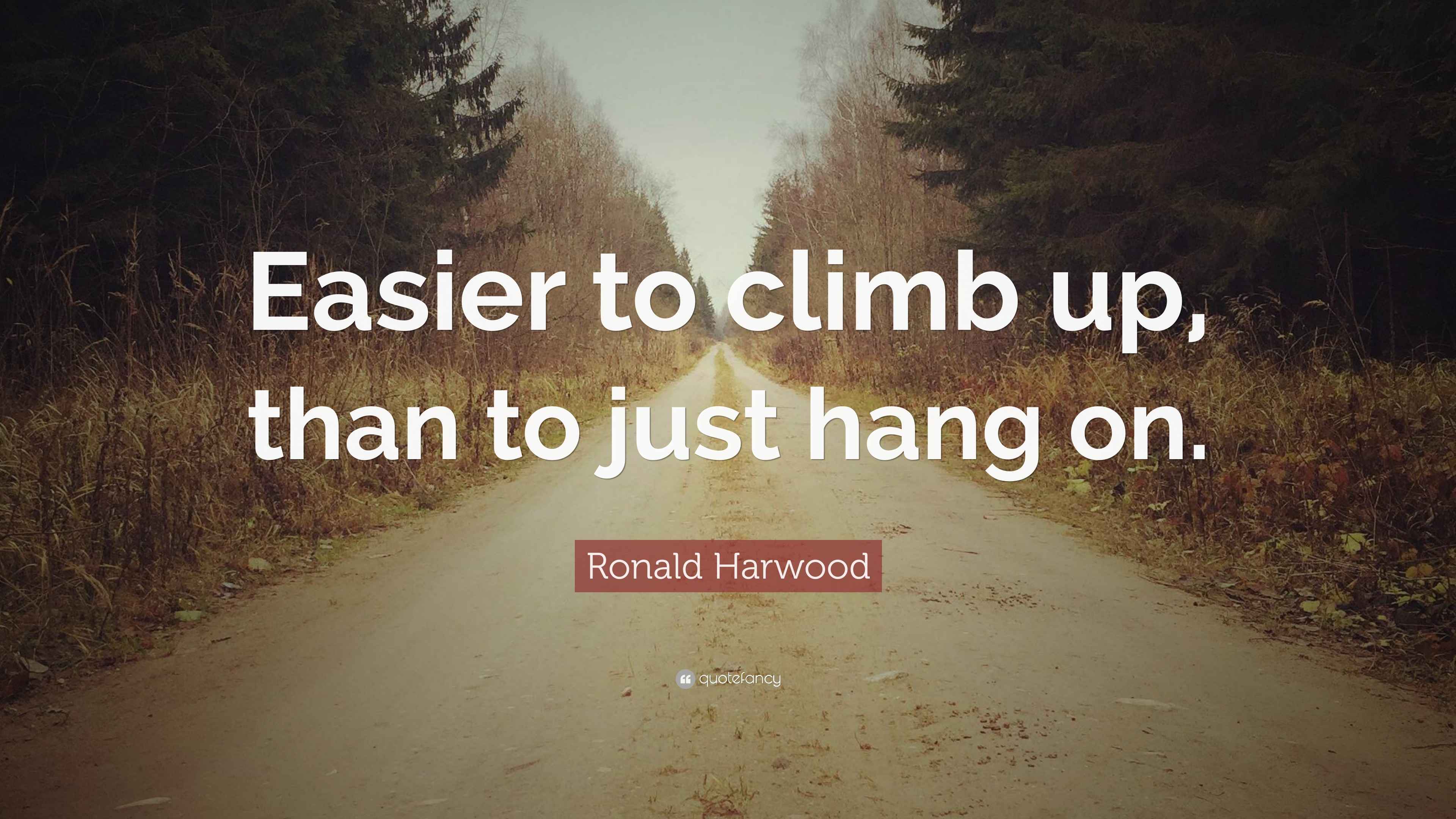 Ronald Harwood Quote “Easier to climb up, than to just hang on.”