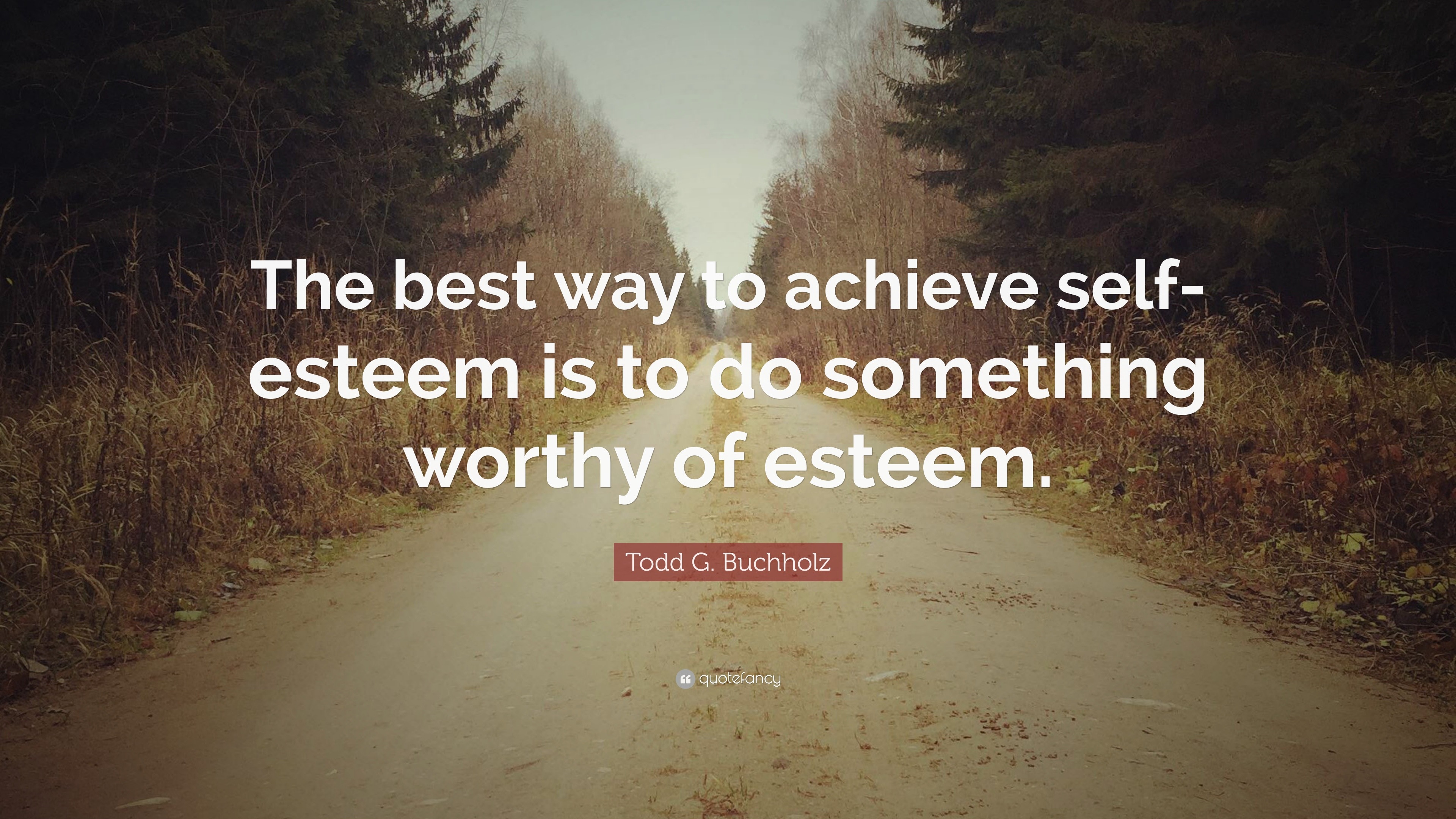 Todd G. Buchholz Quote: “The best way to achieve self-esteem is to do ...