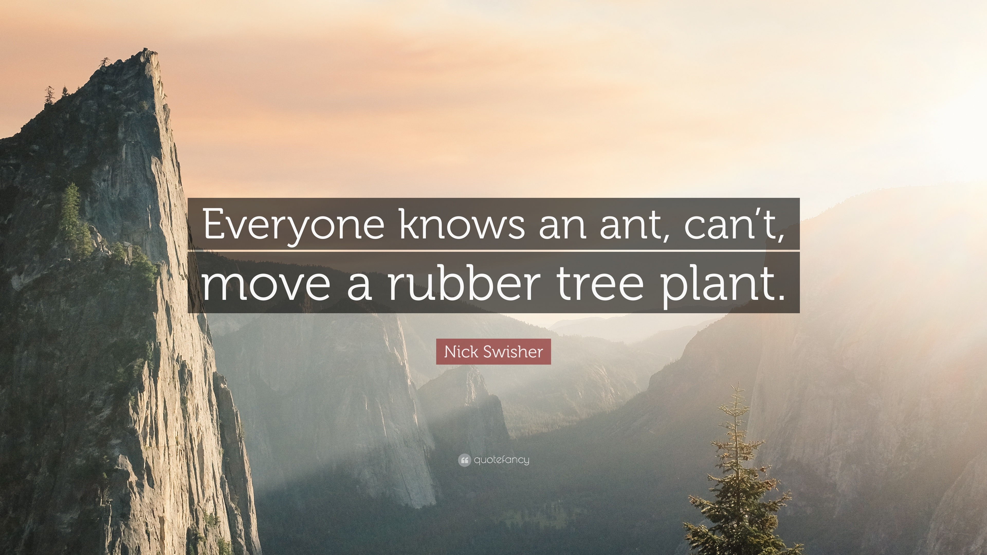 Nick Swisher Quote: Everyone knows an ant, can't, move a rubber tree plant .