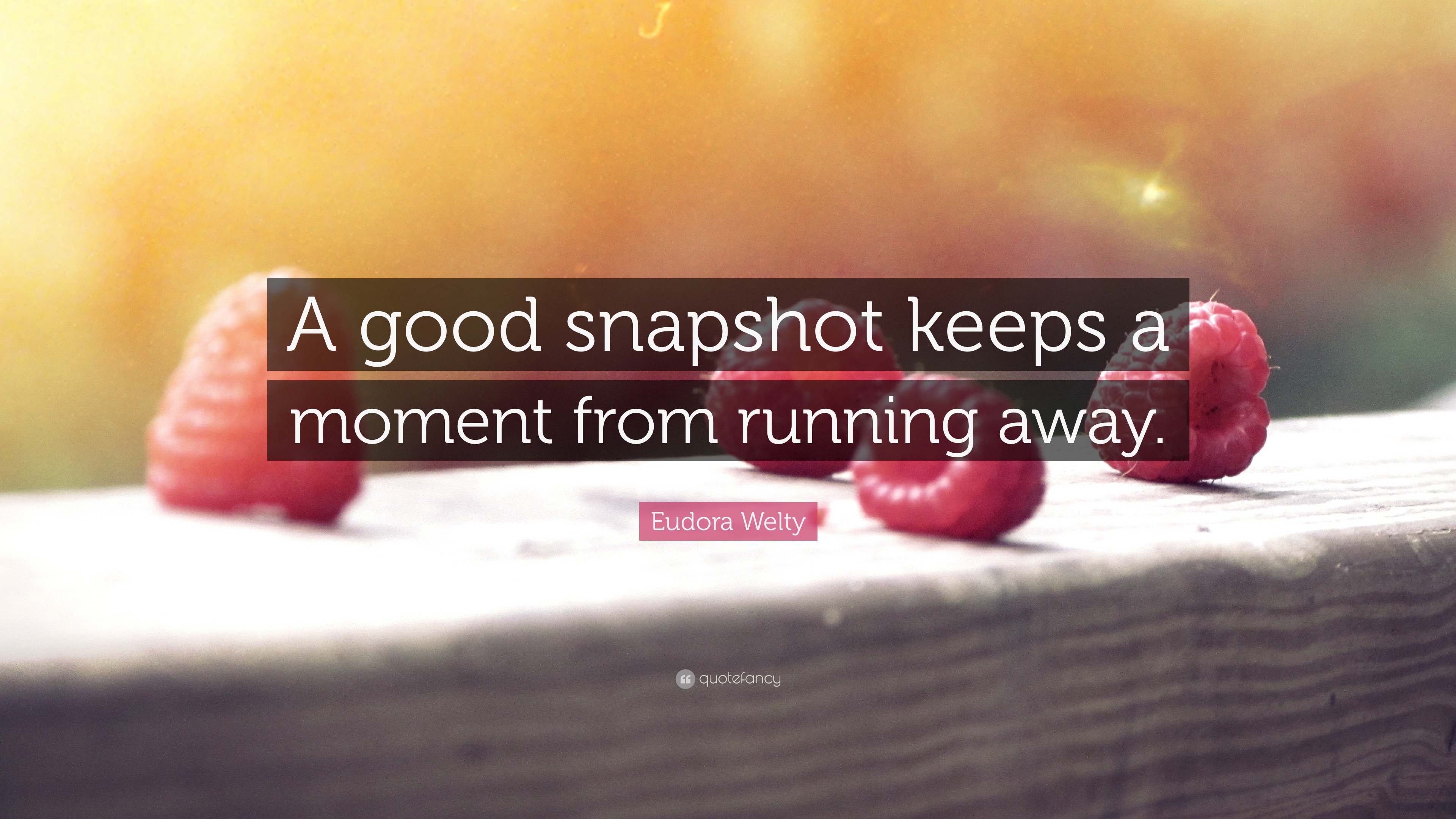 Eudora Welty Quote “A good snapshot keeps a moment from running away.”
