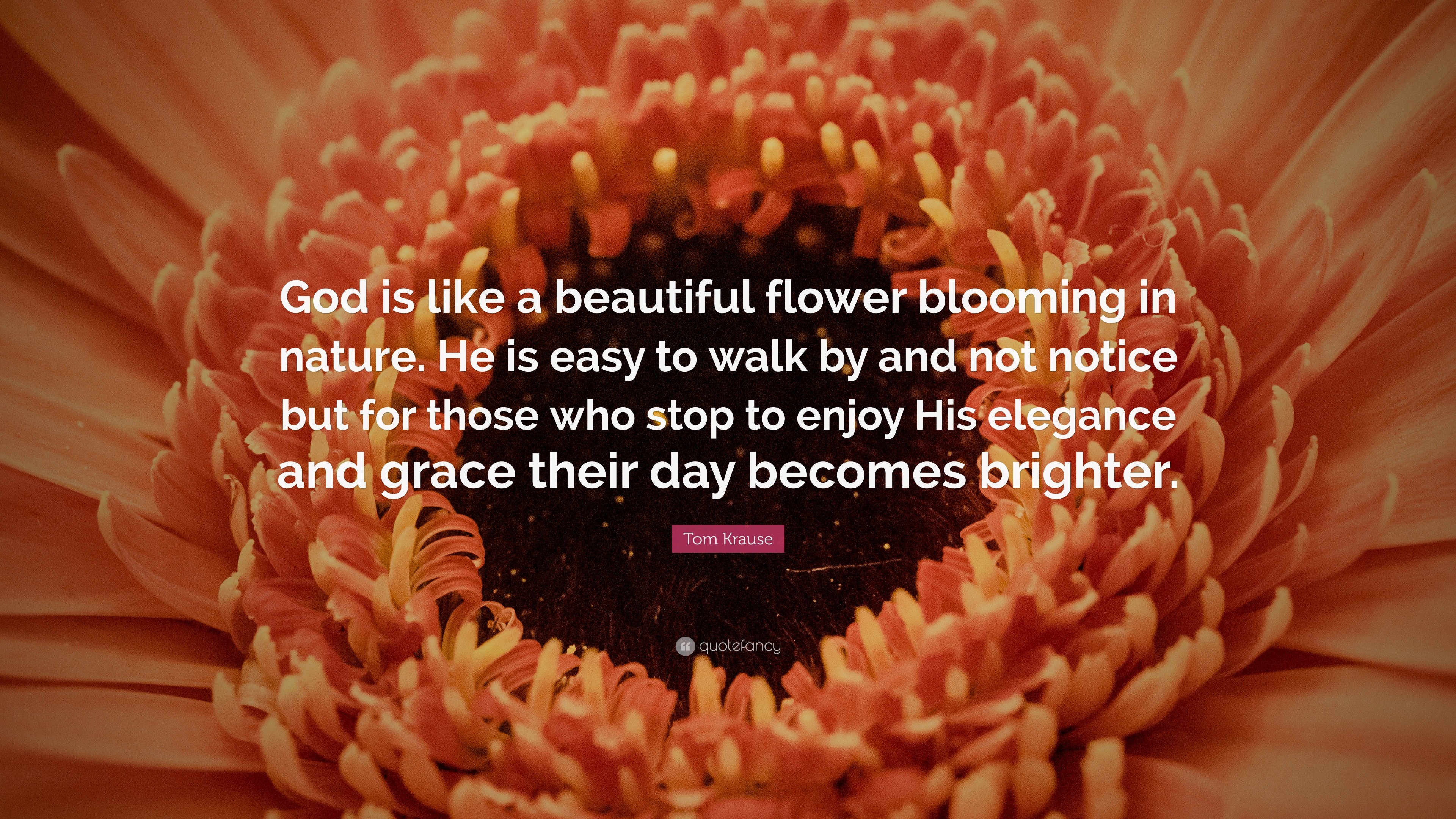 Tom Krause Quote: “God is like a beautiful flower blooming in nature