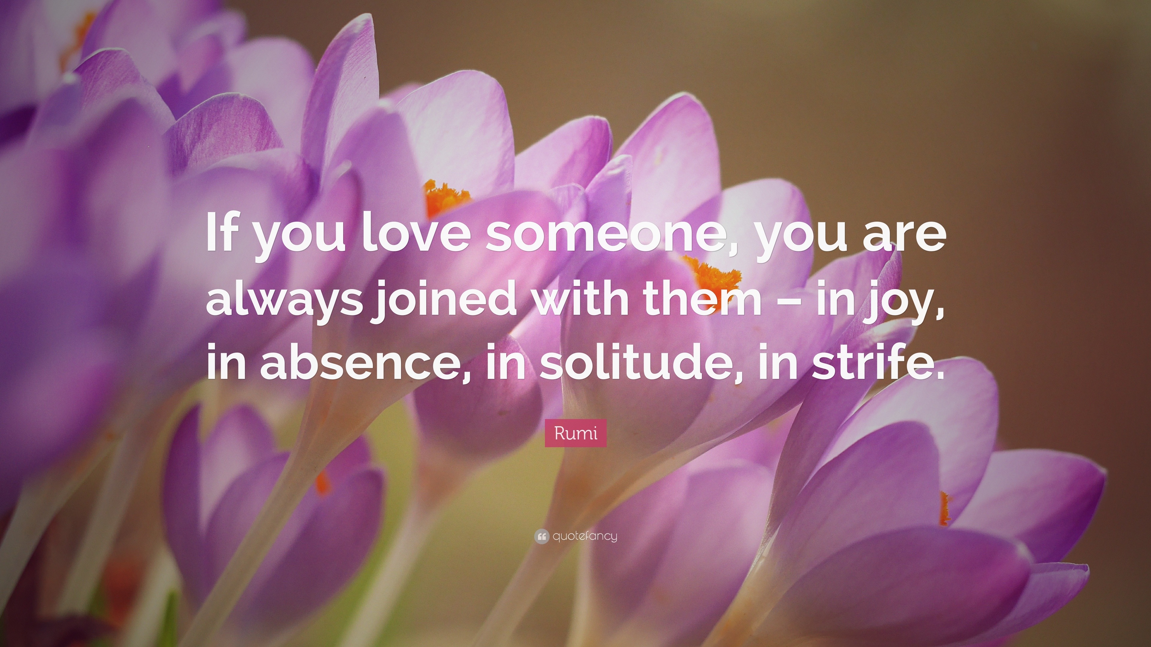 Rumi Quote “If you love someone, you are always joined with them in