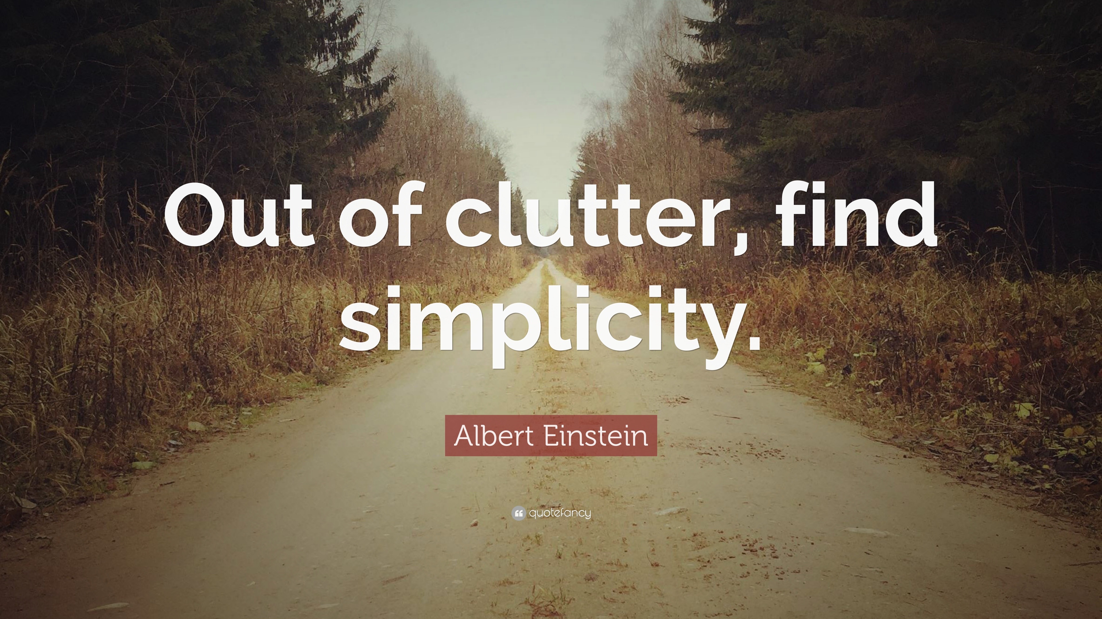 Albert Einstein Quote: “Out of clutter, find simplicity.”