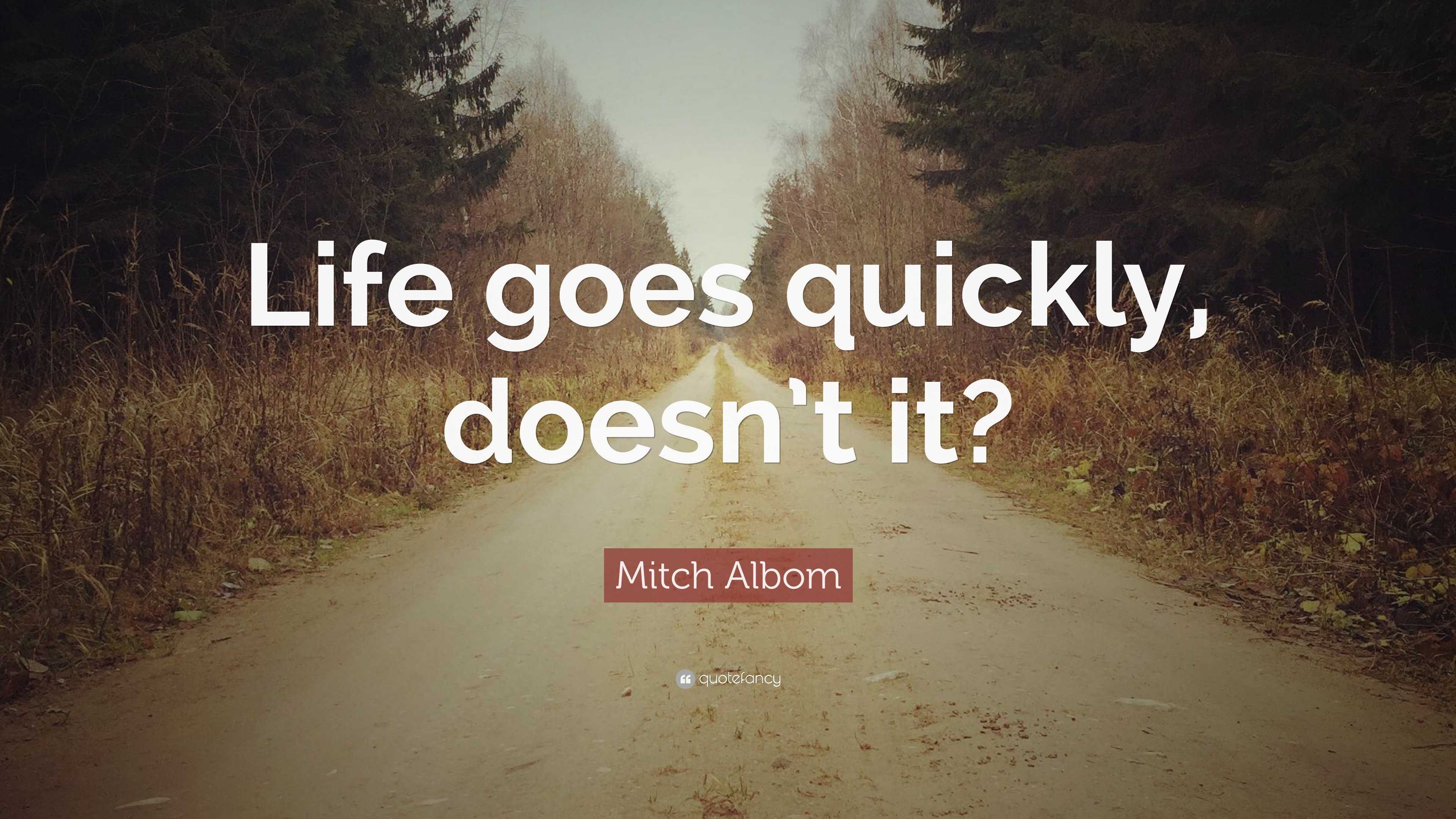 Mitch Albom Quote: “Life goes quickly, doesn’t it?”